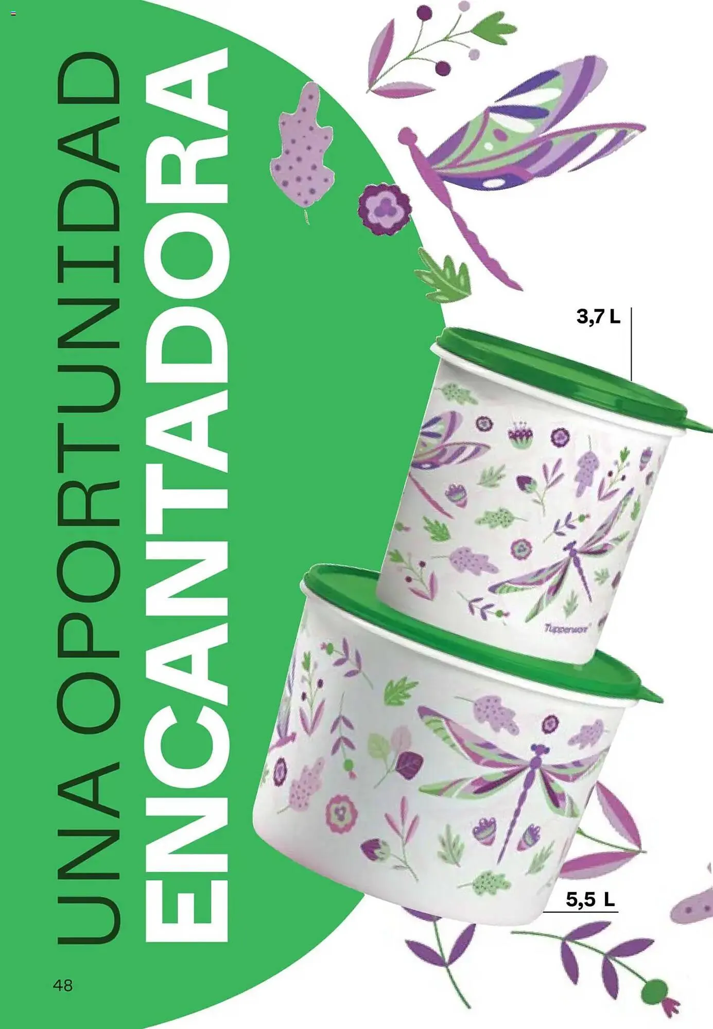 Ofertas de Catálogo Tupperware 11 de agosto al 25 de agosto 2025 - Página 49 del catálogo
