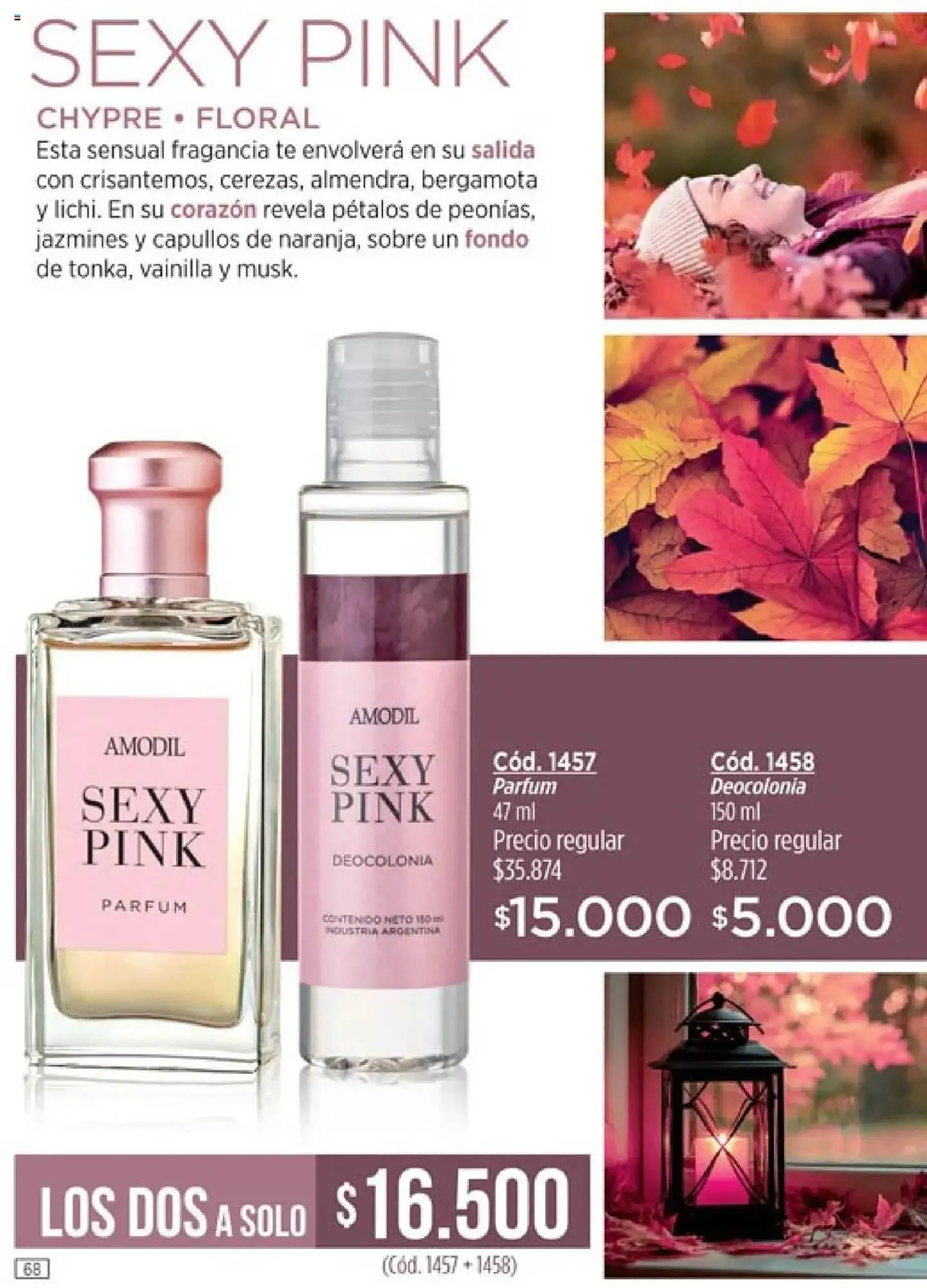 Ofertas de Catálogo Amodil 28 de febrero al 13 de marzo 2025 - Página 68 del catálogo