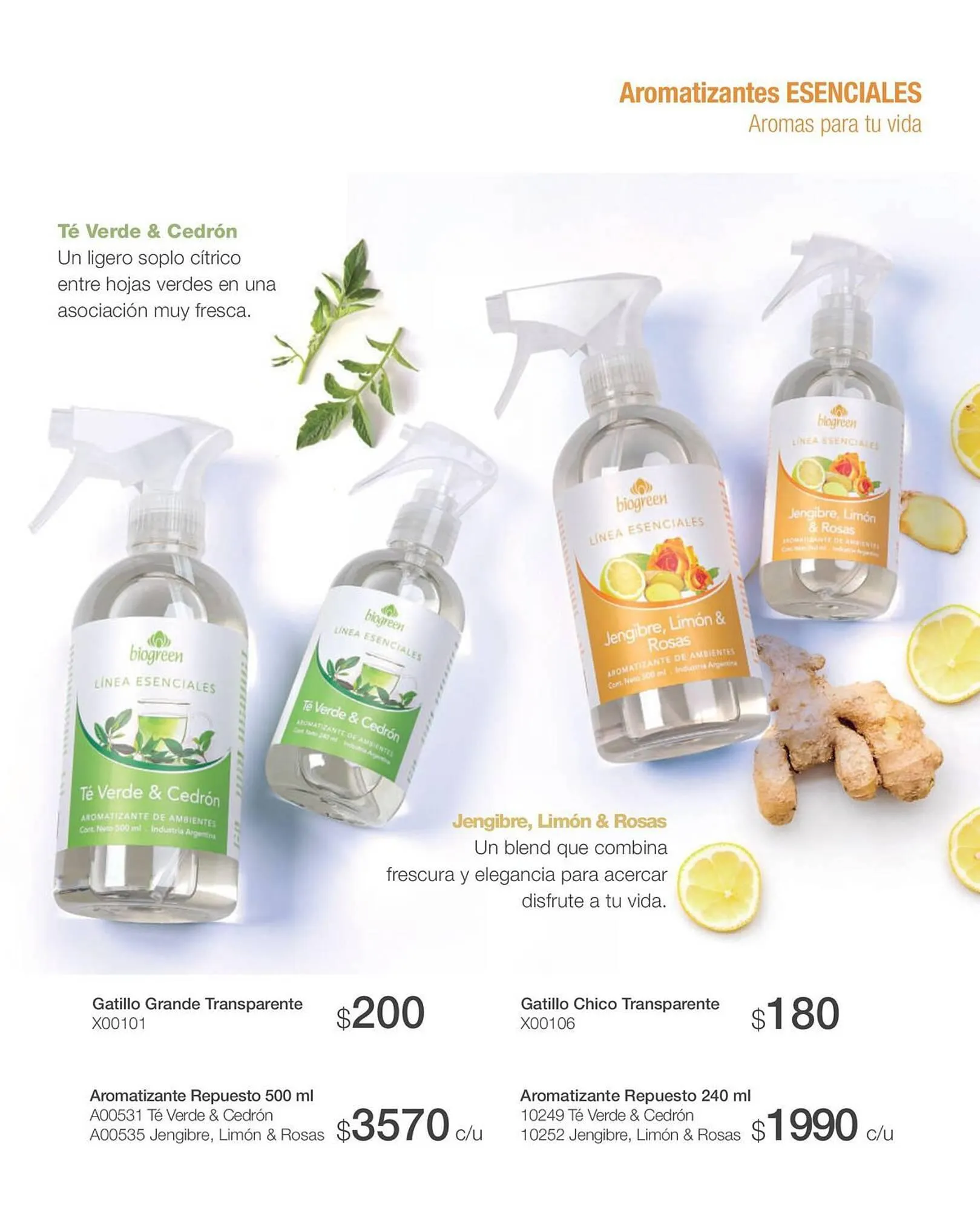 Ofertas de Catálogo Biogreen 20 de octubre al 30 de noviembre 2023 - Página 13 del catálogo