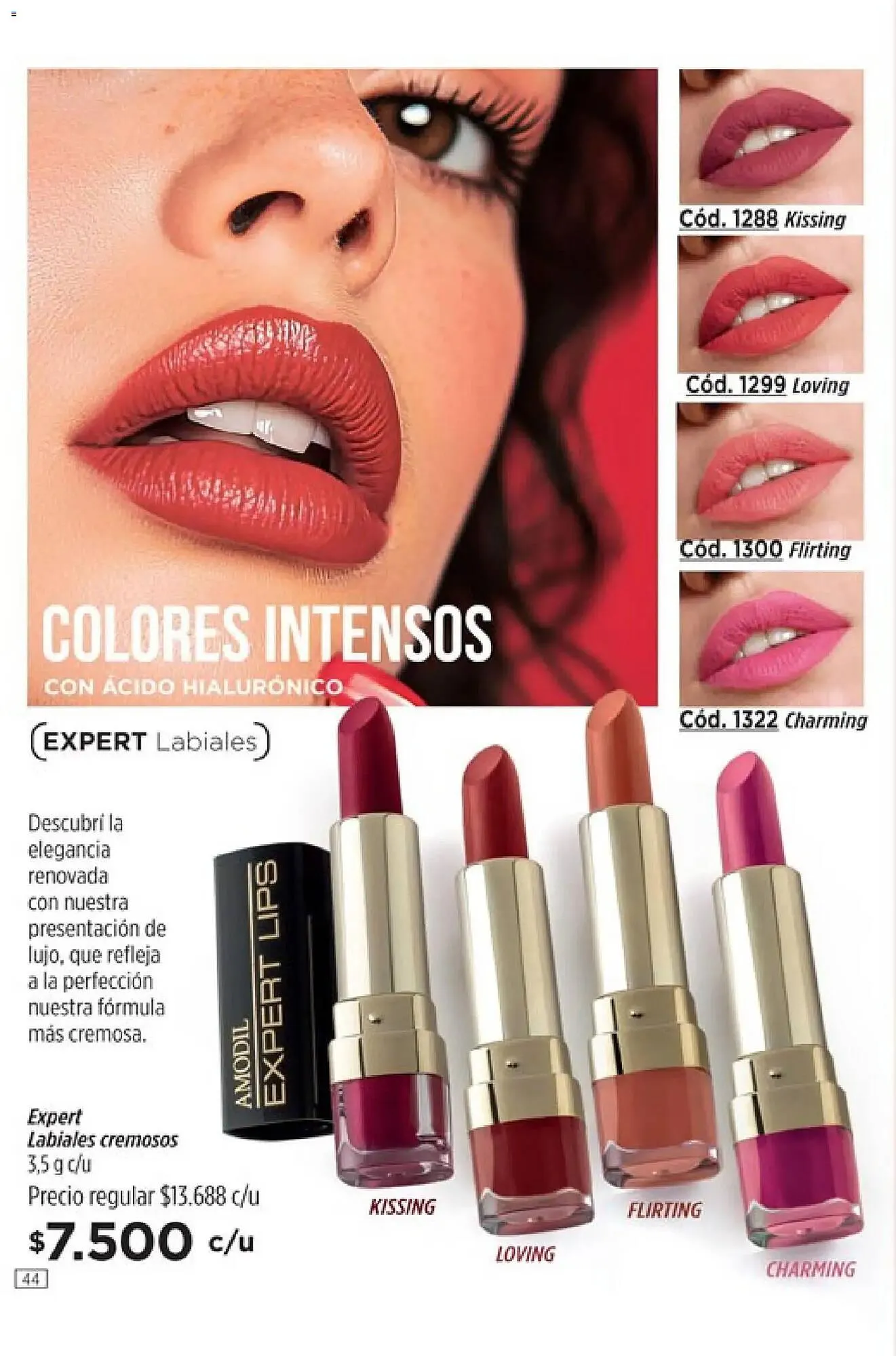 Ofertas de Catálogo Amodil 12 de febrero al 31 de marzo 2026 - Página 44 del catálogo