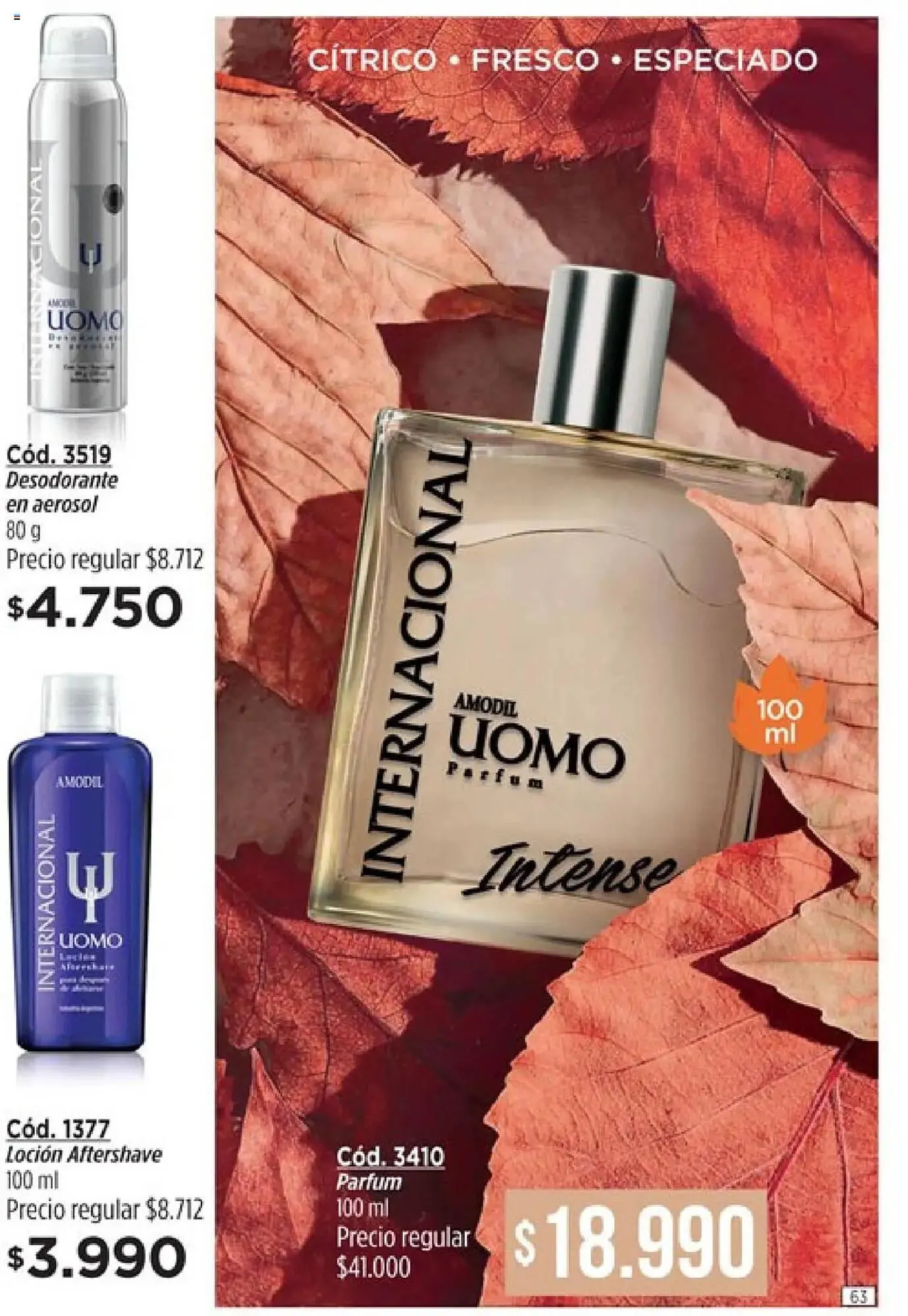 Ofertas de Catálogo Amodil 28 de febrero al 13 de marzo 2025 - Página 63 del catálogo