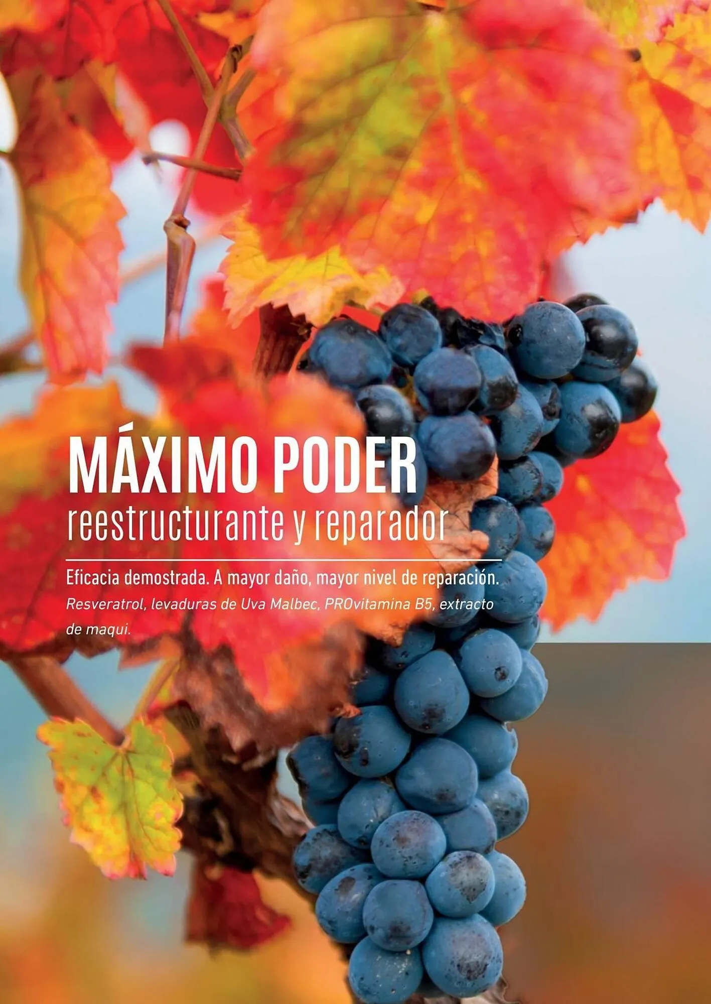 Ofertas de Catálogo Reino Cosmética 8 de mayo al 31 de mayo 2025 - Página 42 del catálogo