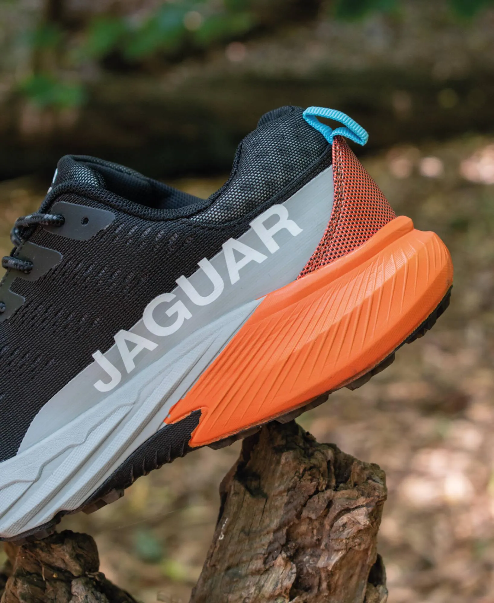 Ofertas de Catálogo Jaguar Shoes 9 de enero al 31 de enero 2026 - Página 3 del catálogo