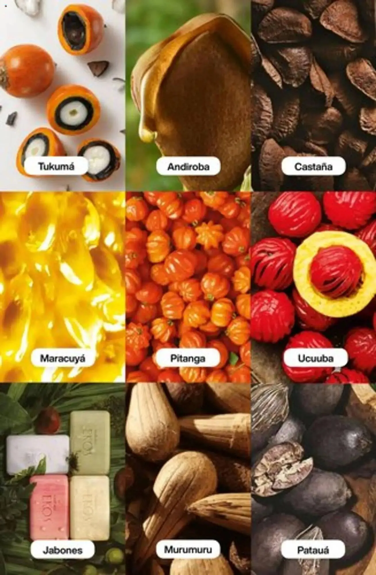 Ofertas de Catálogo Natura 1 de noviembre al 31 de diciembre 2025 - Página 198 del catálogo