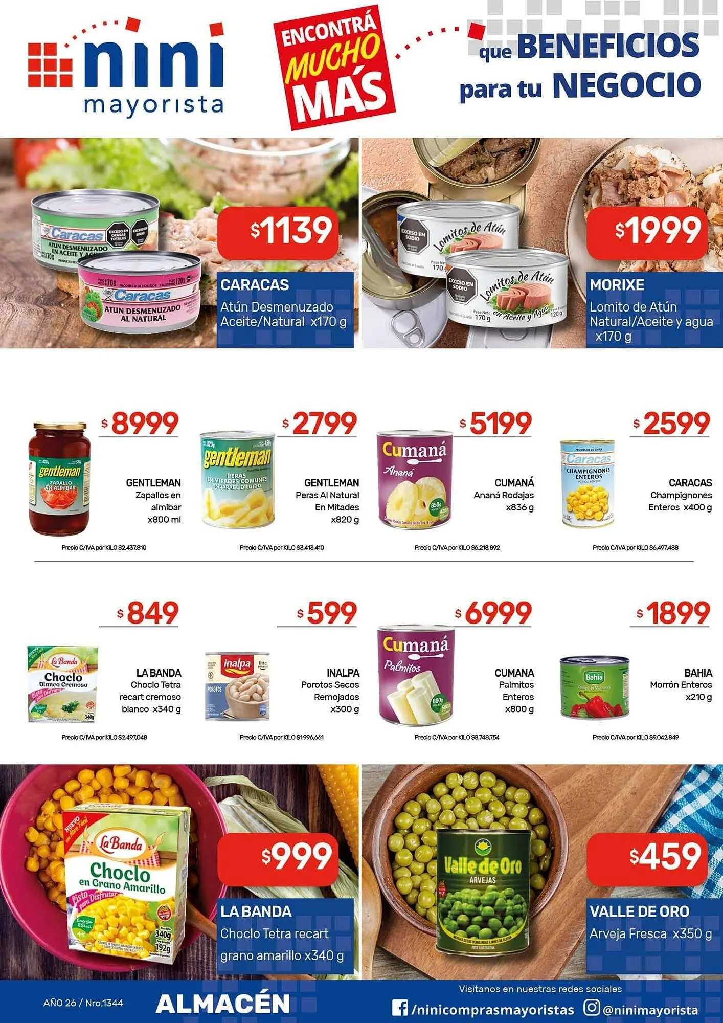 Ofertas de Catálogo Nini Mayorista 26 de enero al 1 de febrero 2026 - Página 21 del catálogo