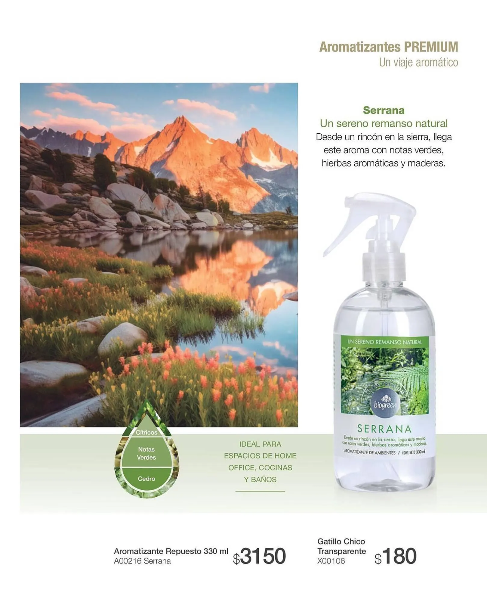 Ofertas de Catálogo Biogreen 20 de octubre al 30 de noviembre 2023 - Página 43 del catálogo