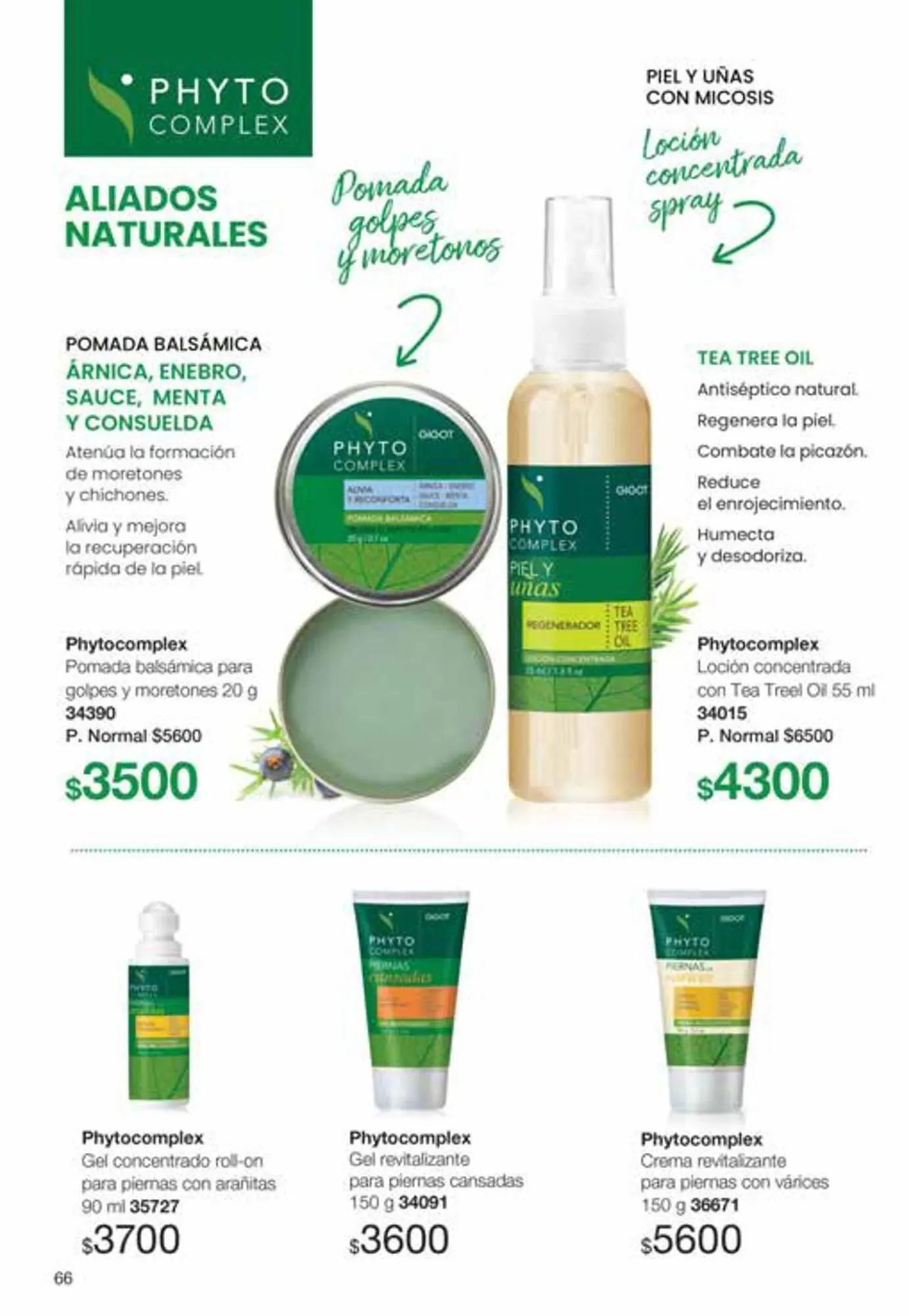 Ofertas de Catálogo Gigot 1 de diciembre al 31 de enero 2024 - Página 66 del catálogo