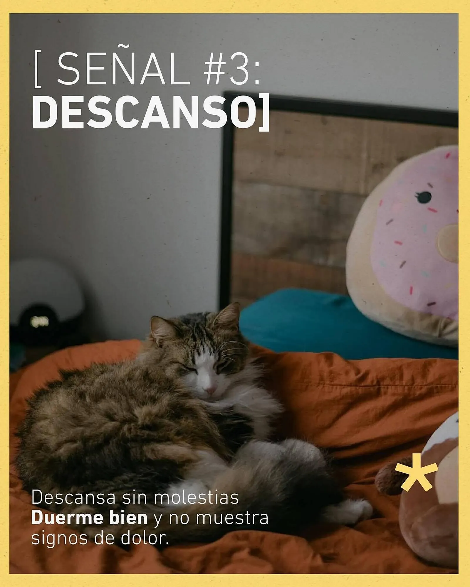 Ofertas de Catálogo Puppis 24 de junio al 30 de junio 2025 - Página 4 del catálogo