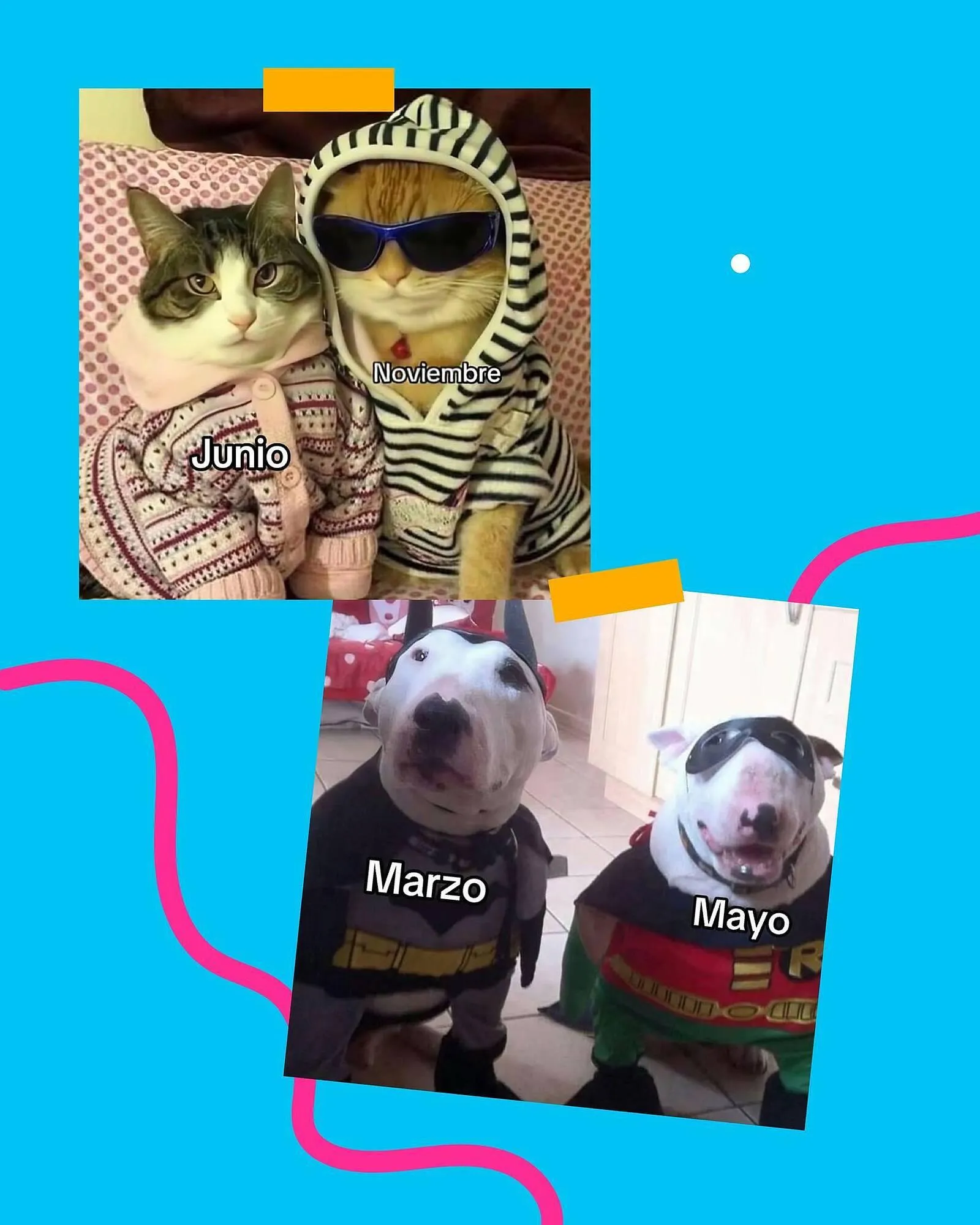 Ofertas de Catálogo Casper Pet Store 10 de abril al 30 de abril 2025 - Página 2 del catálogo