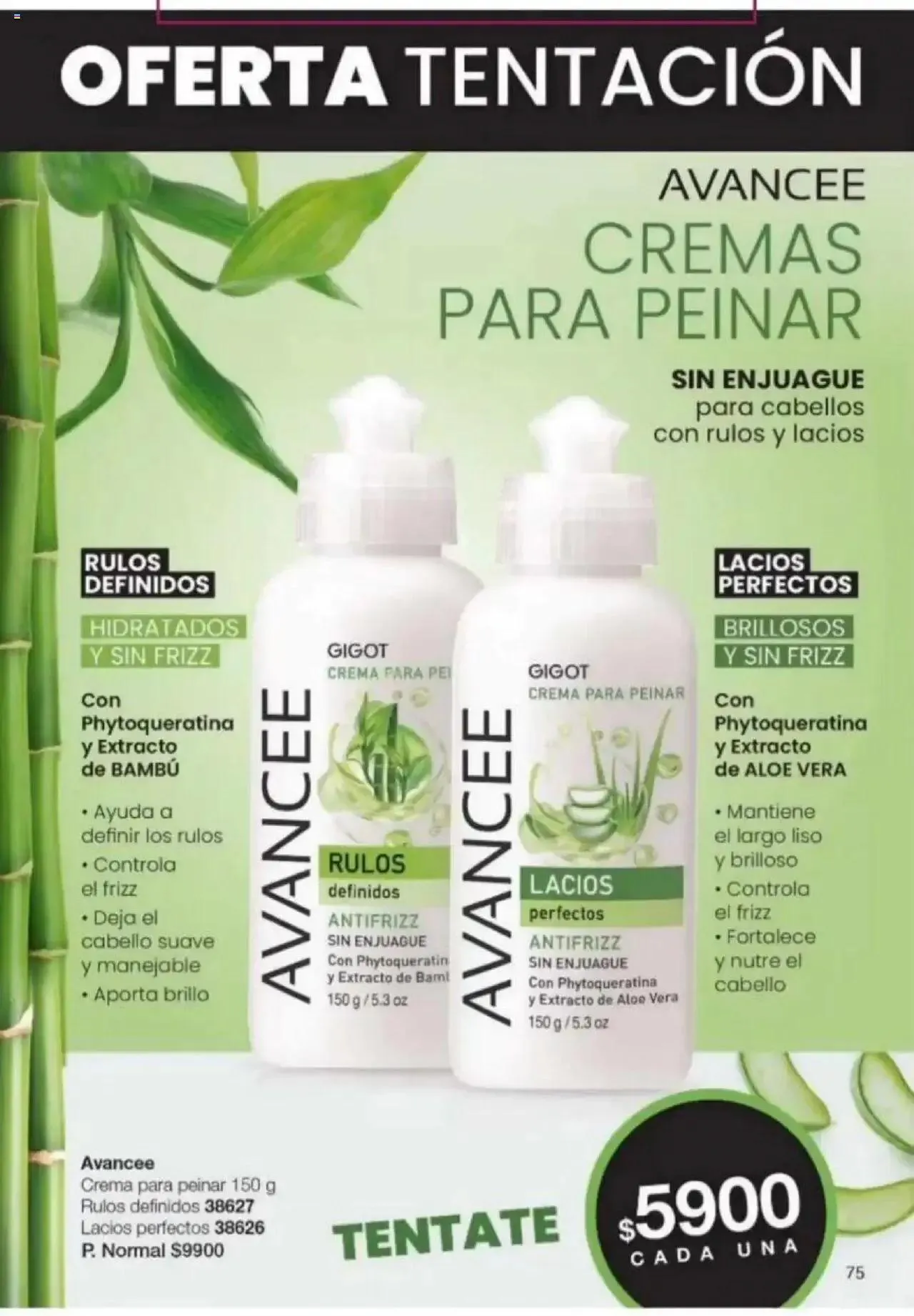 Ofertas de Gigot catálogo 4 de octubre al 31 de diciembre 2024 - Página 66 del catálogo