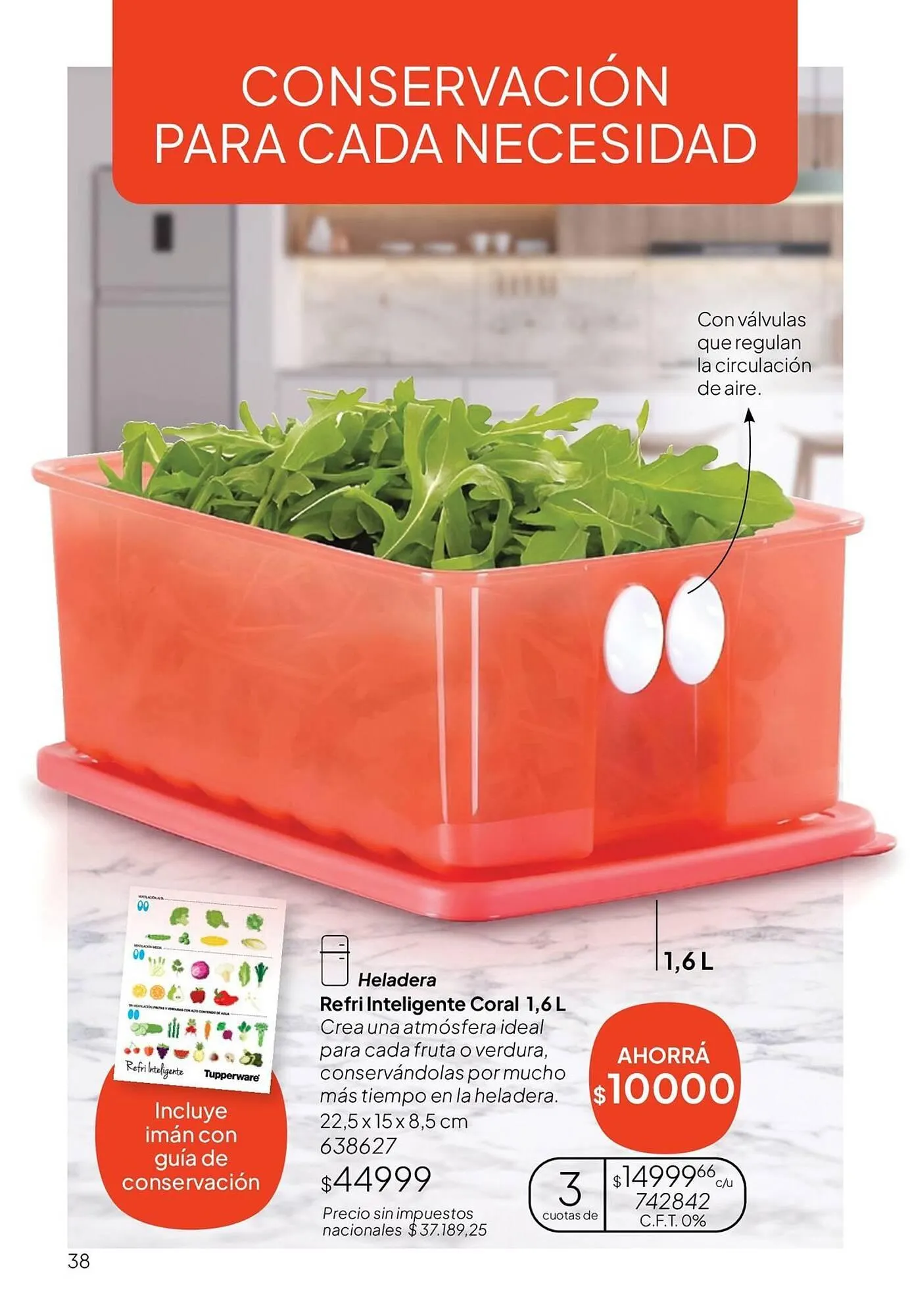 Ofertas de Folleto Tupperware 1 de julio al 31 de julio 2026 - Página 39 del catálogo