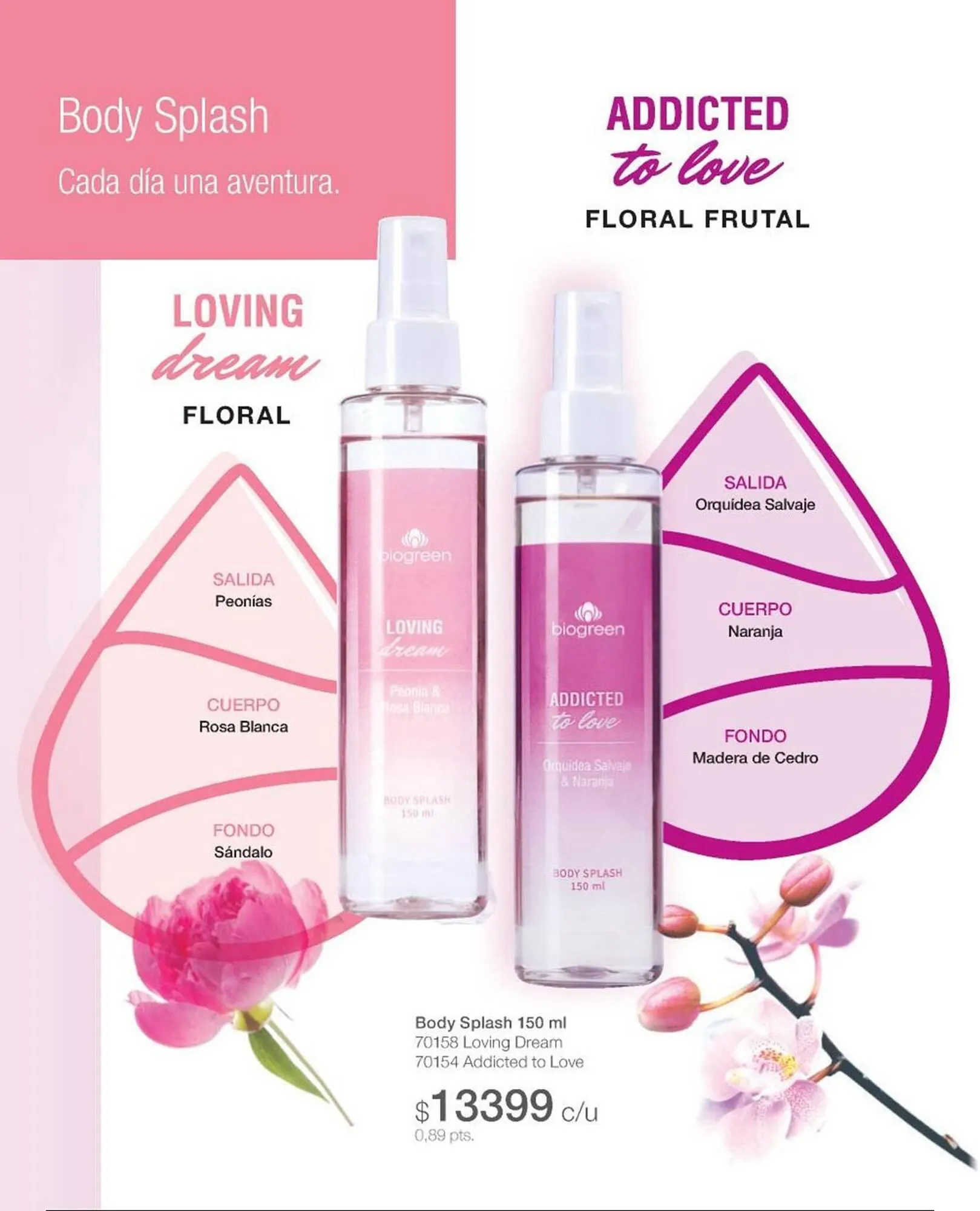 Ofertas de Catálogo Biogreen 28 de julio al 10 de agosto 2025 - Página 72 del catálogo