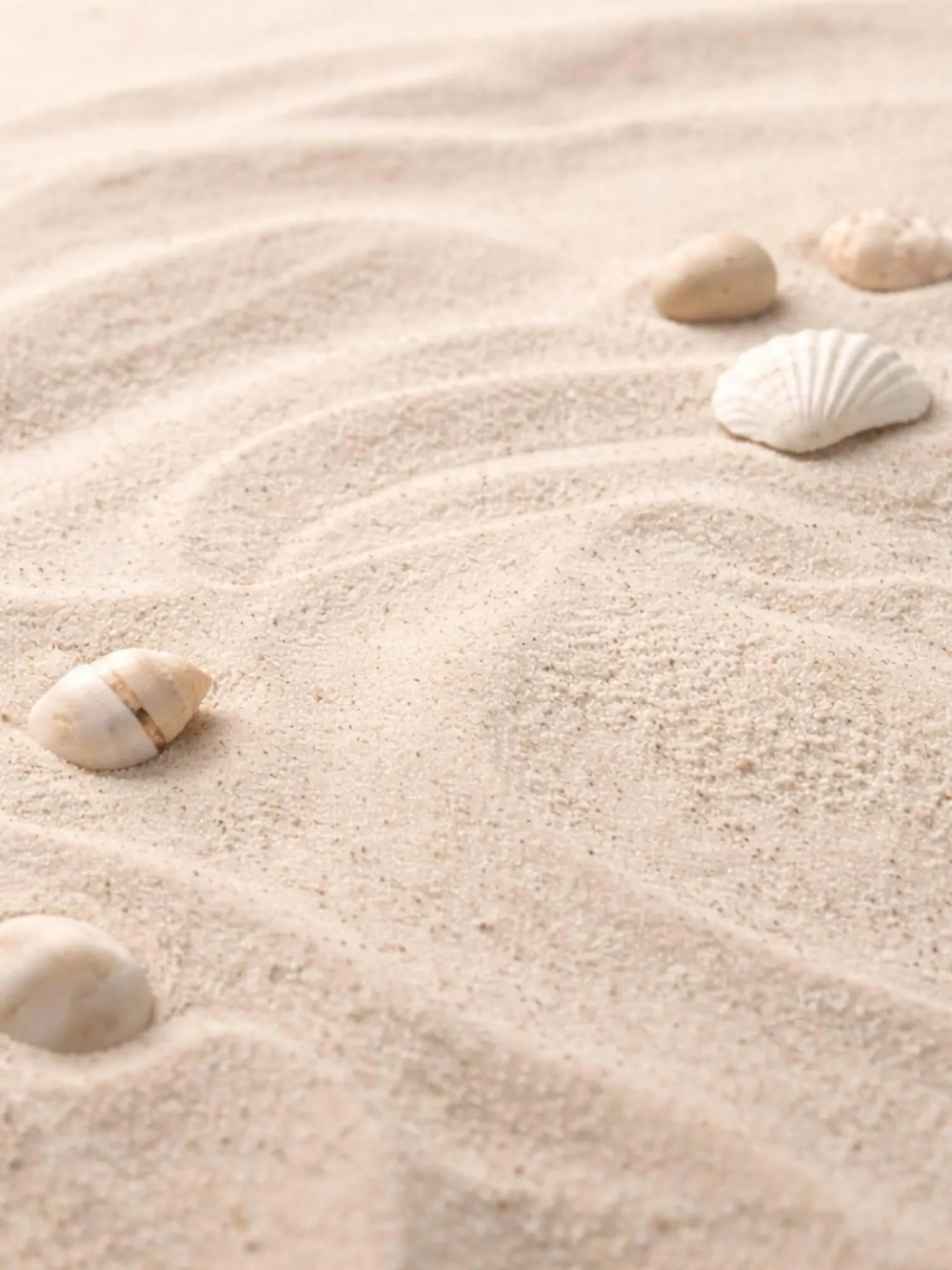 Ofertas de Catálogo Tosone 29 de enero al 4 de febrero 2026 - Página 3 del catálogo