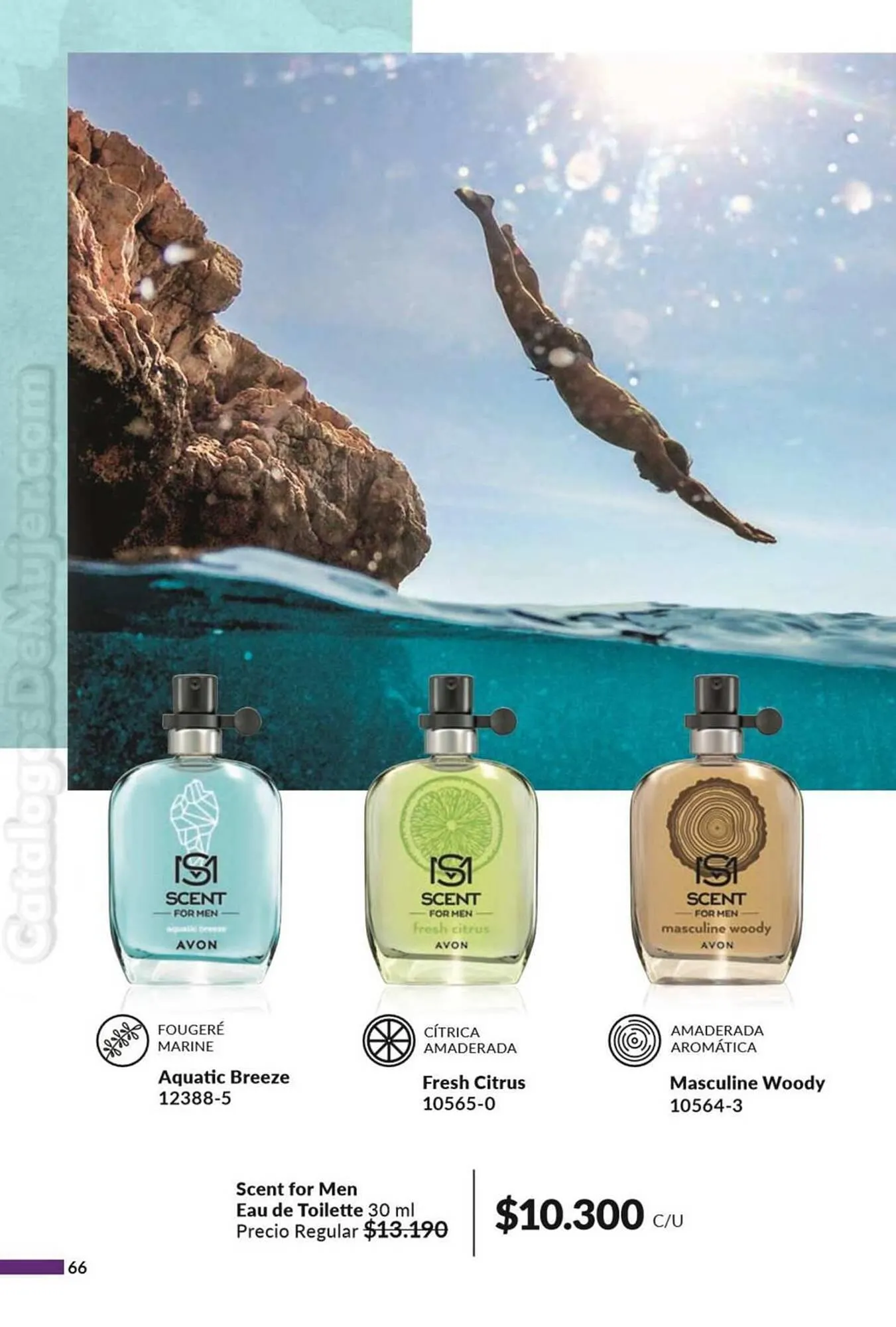 Ofertas de Catálogo Avon 28 de febrero al 12 de marzo 2024 - Página 110 del catálogo