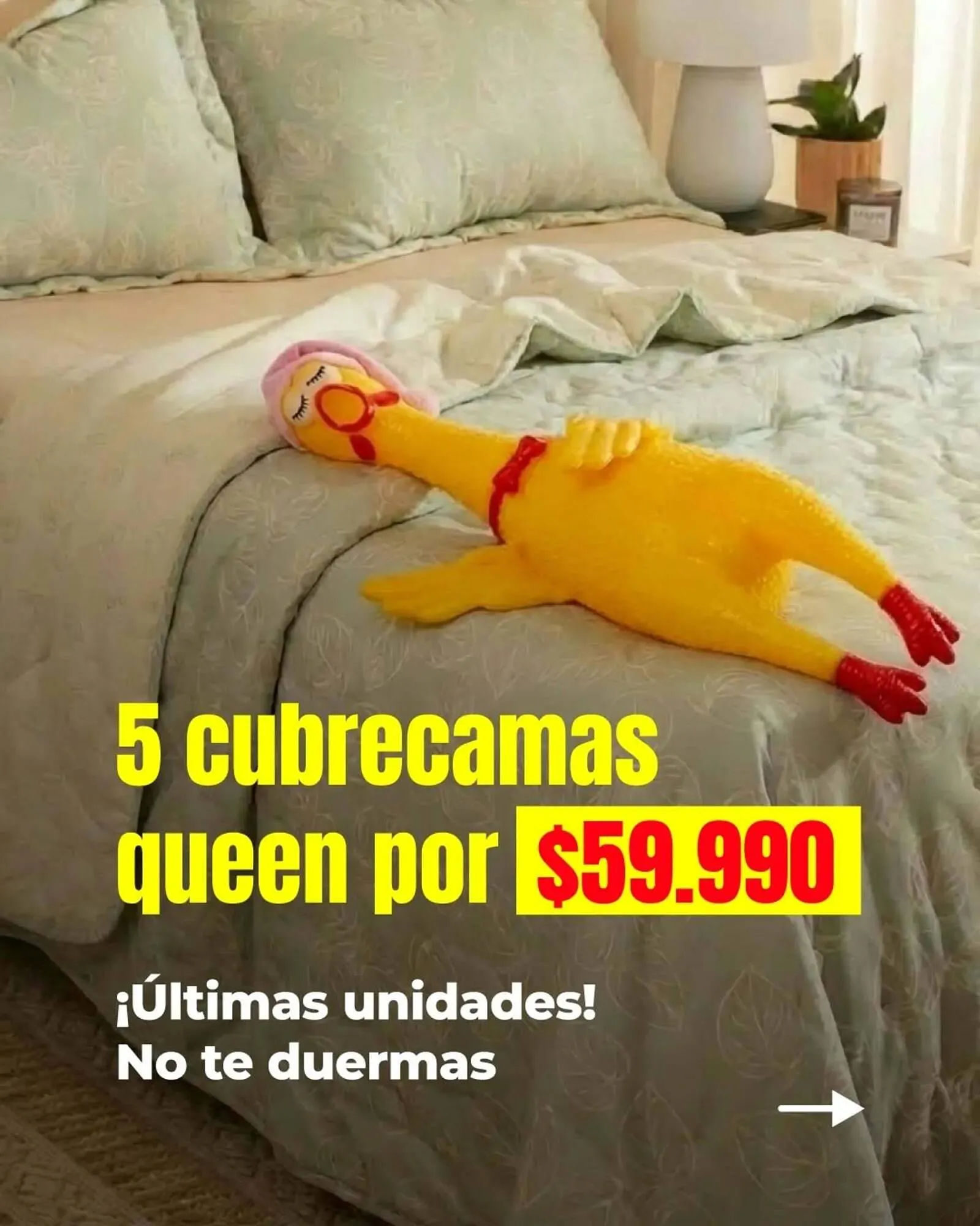 Ofertas de Catálogo Arredo 21 de diciembre al 27 de diciembre 2025 - Página 1 del catálogo