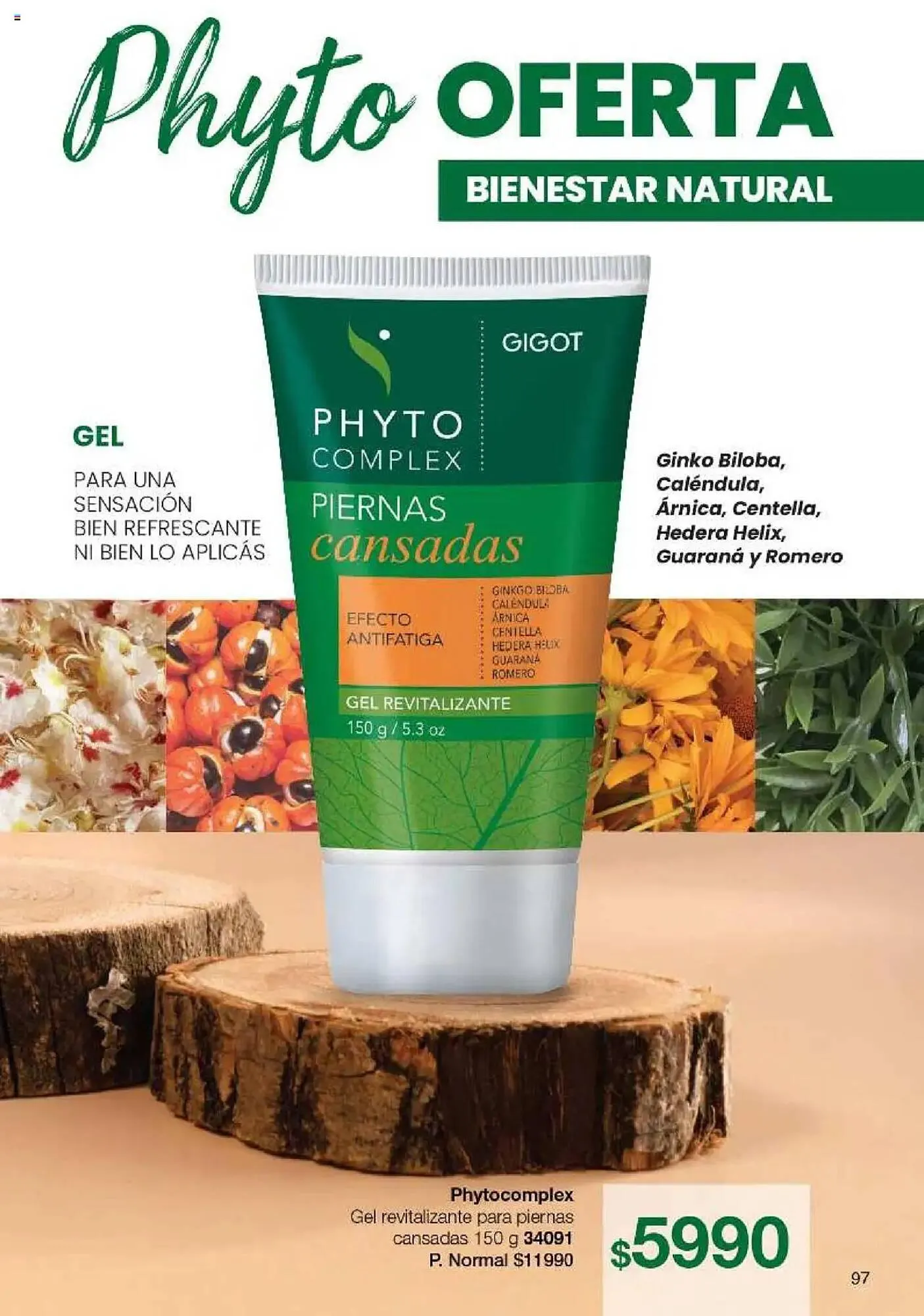 Ofertas de Catálogo Gigot 7 de abril al 20 de abril 2025 - Página 97 del catálogo