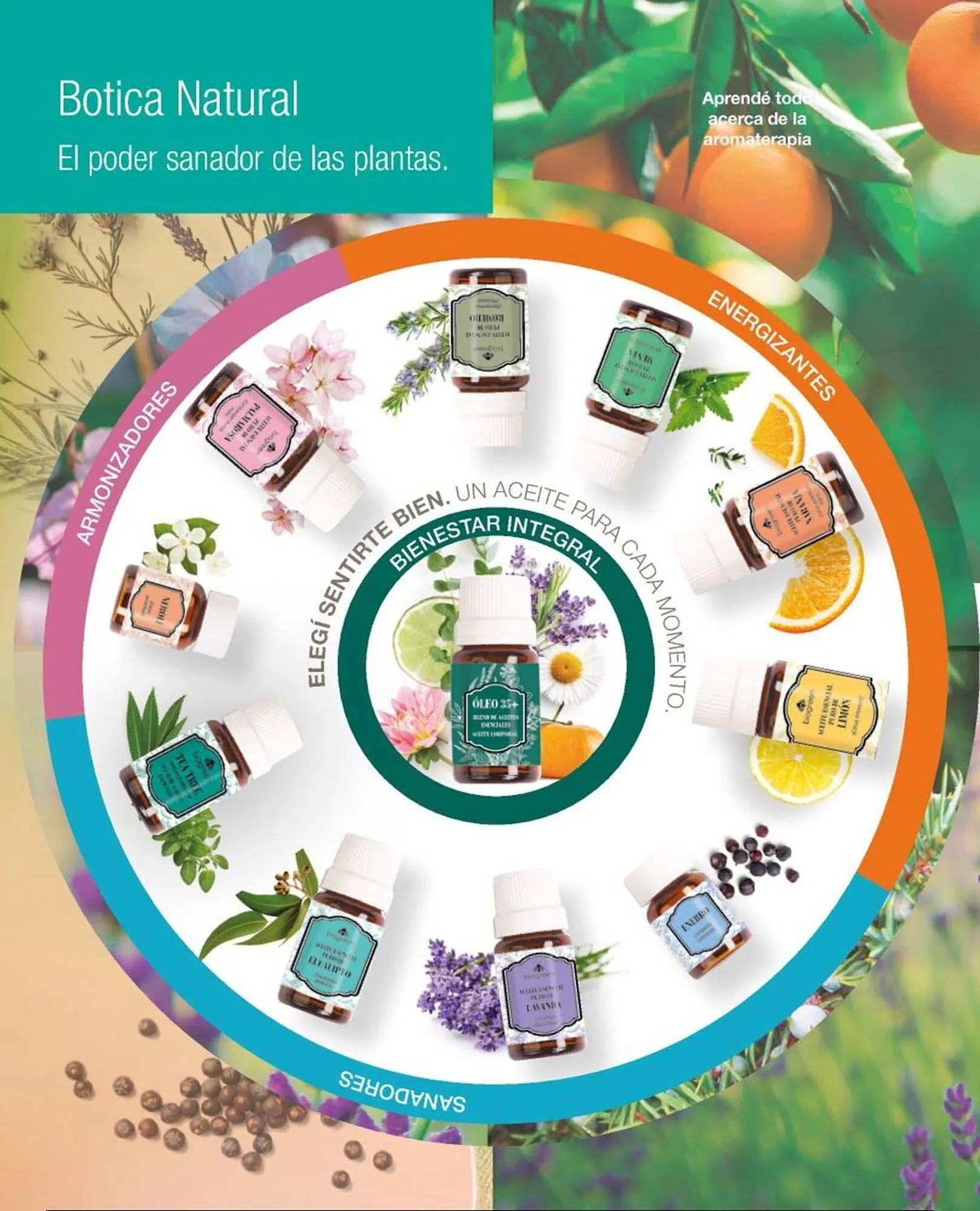 Ofertas de Catálogo Biogreen 16 de febrero al 1 de marzo 2026 - Página 98 del catálogo