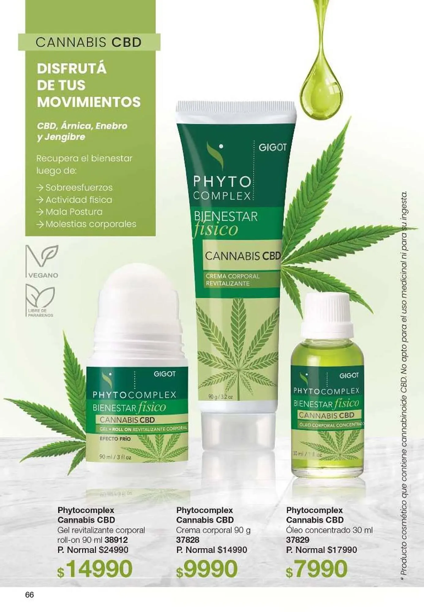 Ofertas de Catálogo Gigot 24 de marzo al 30 de marzo 2025 - Página 66 del catálogo