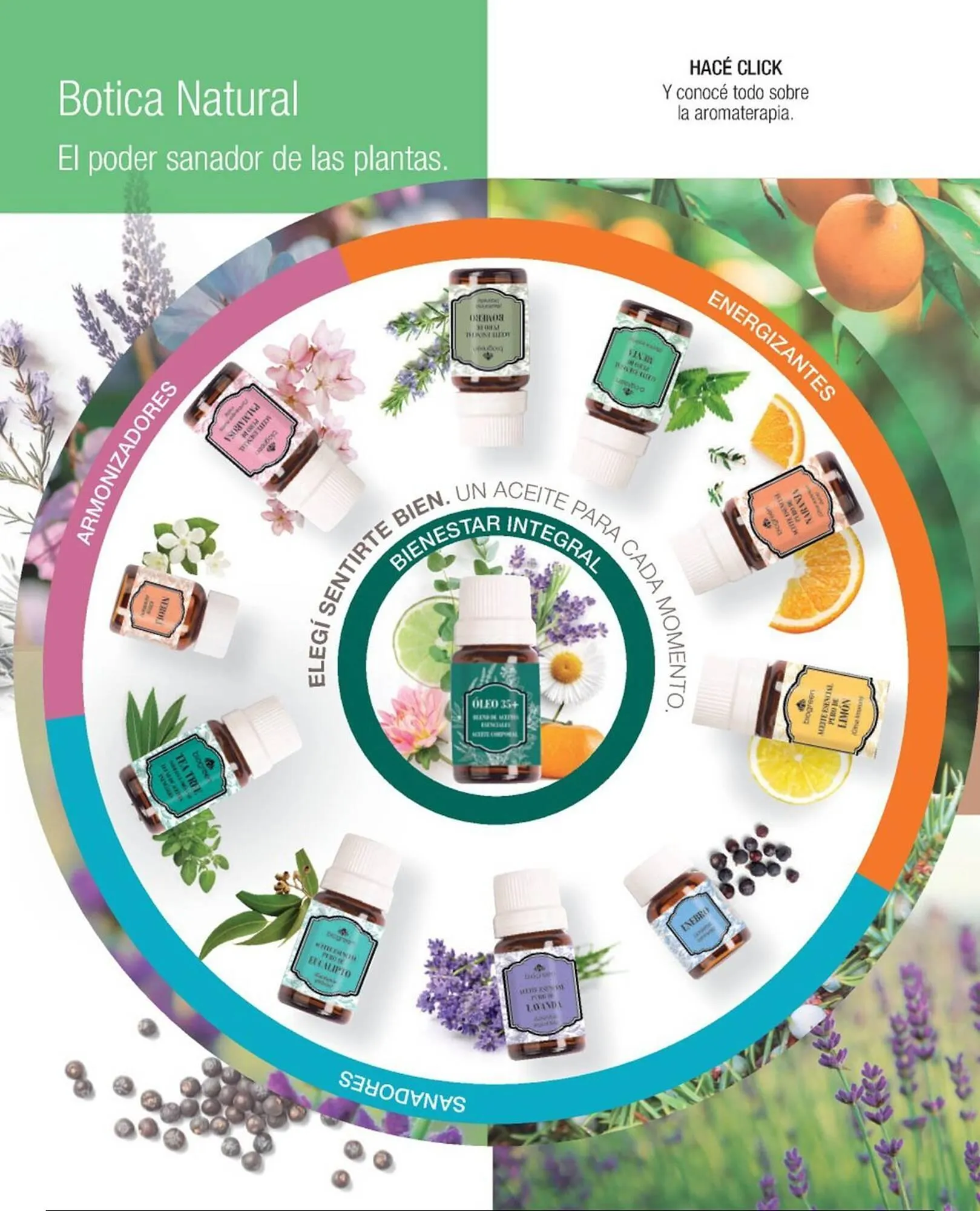 Ofertas de Catálogo Biogreen 28 de julio al 10 de agosto 2025 - Página 76 del catálogo