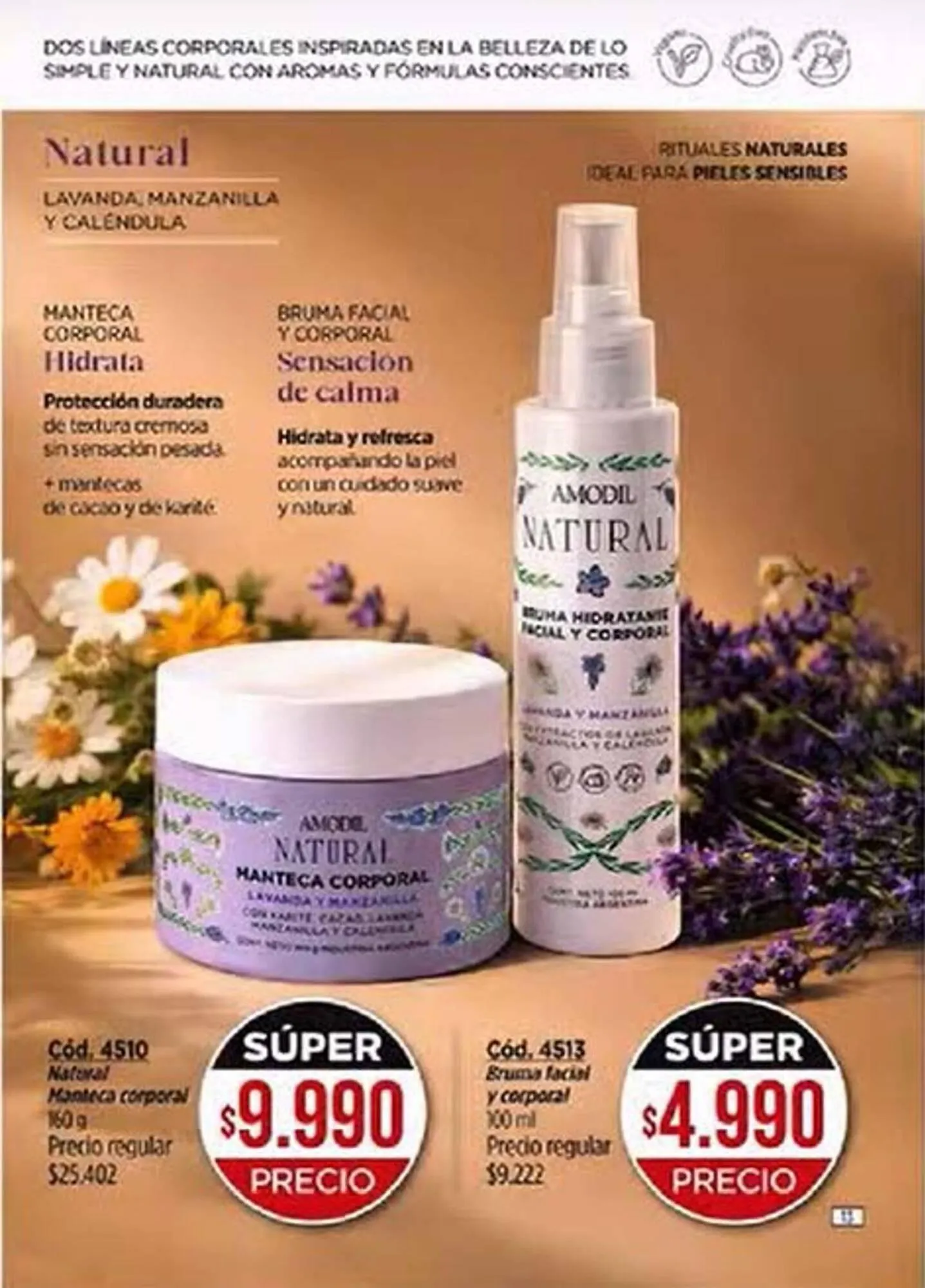 Ofertas de Catálogo Amodil 9 de abril al 30 de abril 2026 - Página 13 del catálogo