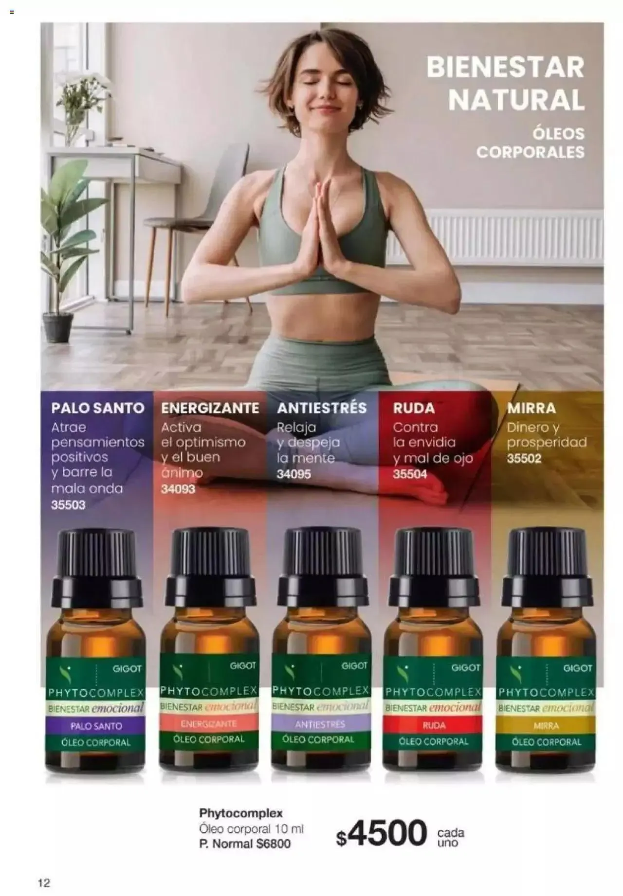 Ofertas de Gigot catálogo 2 de abril al 31 de diciembre 2024 - Página 12 del catálogo