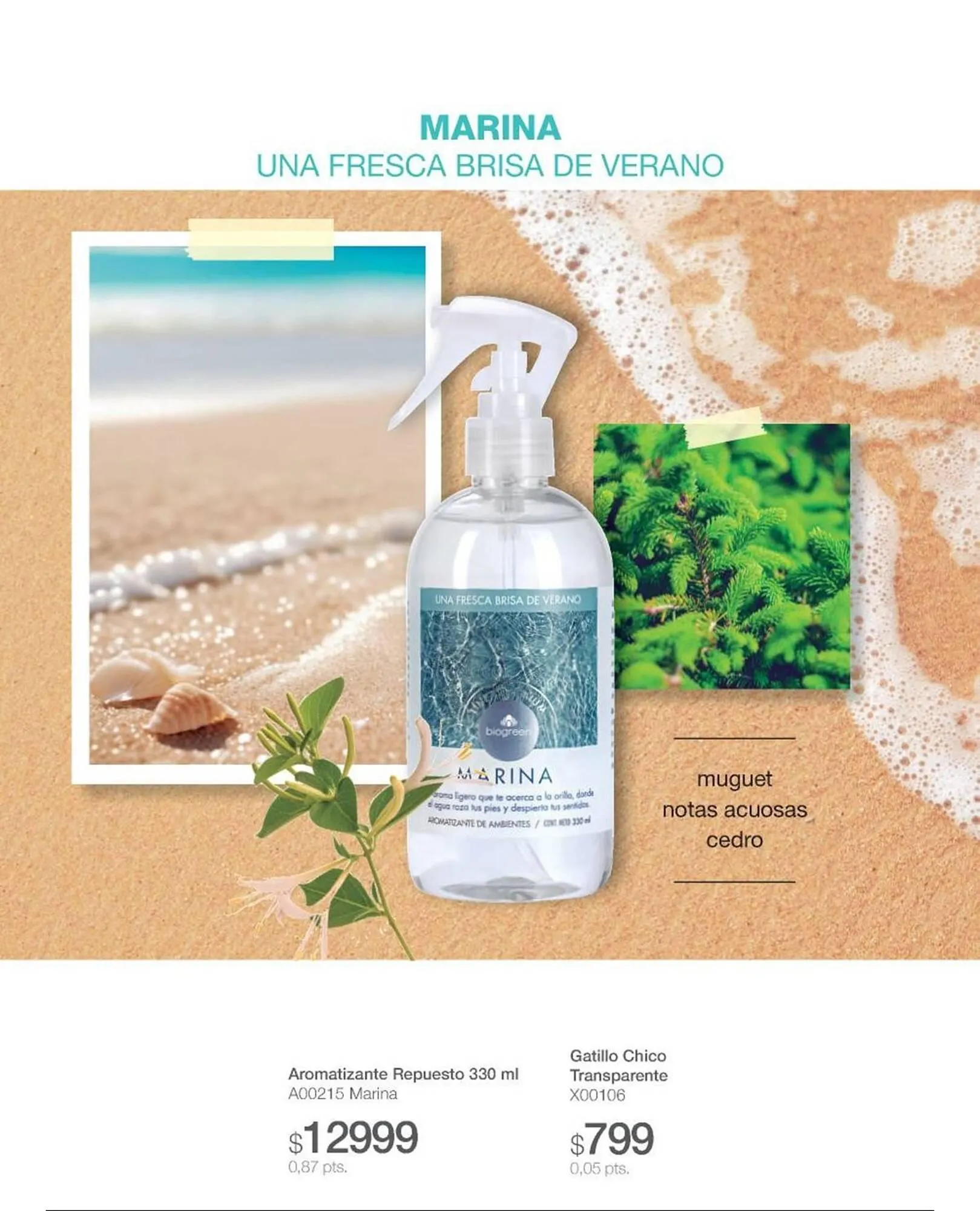 Ofertas de Catálogo Biogreen 28 de julio al 10 de agosto 2025 - Página 28 del catálogo