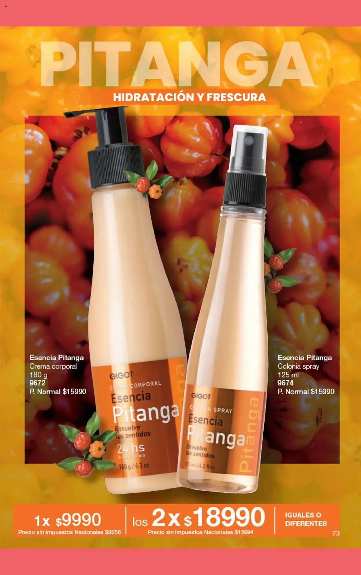 Ofertas de Folleto Gigot 1 de marzo al 31 de marzo 2026 - Página 93 del catálogo