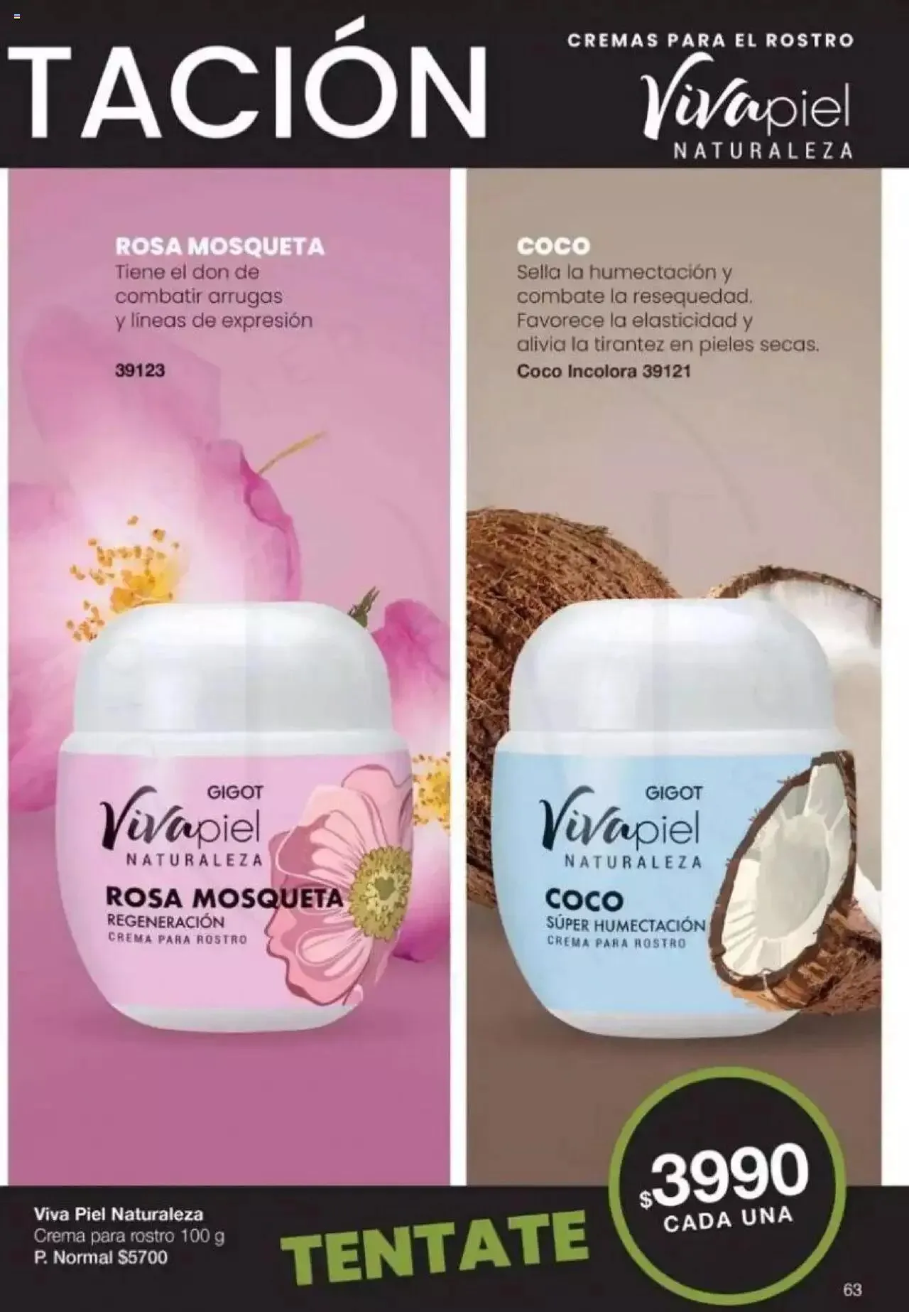 Ofertas de Gigot catálogo 2 de abril al 31 de diciembre 2024 - Página 63 del catálogo