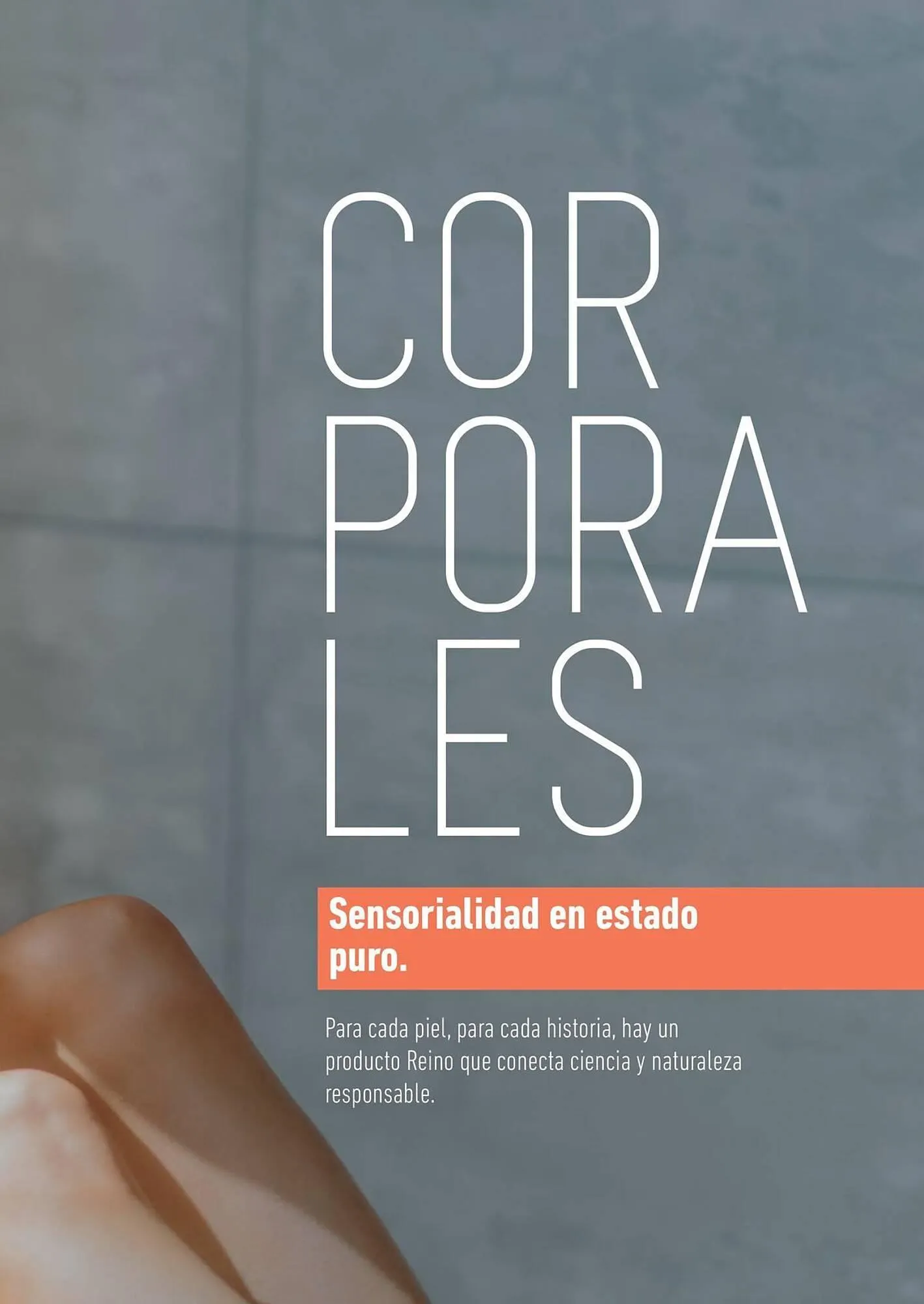 Ofertas de Catálogo Reino Cosmética 8 de mayo al 31 de mayo 2025 - Página 81 del catálogo