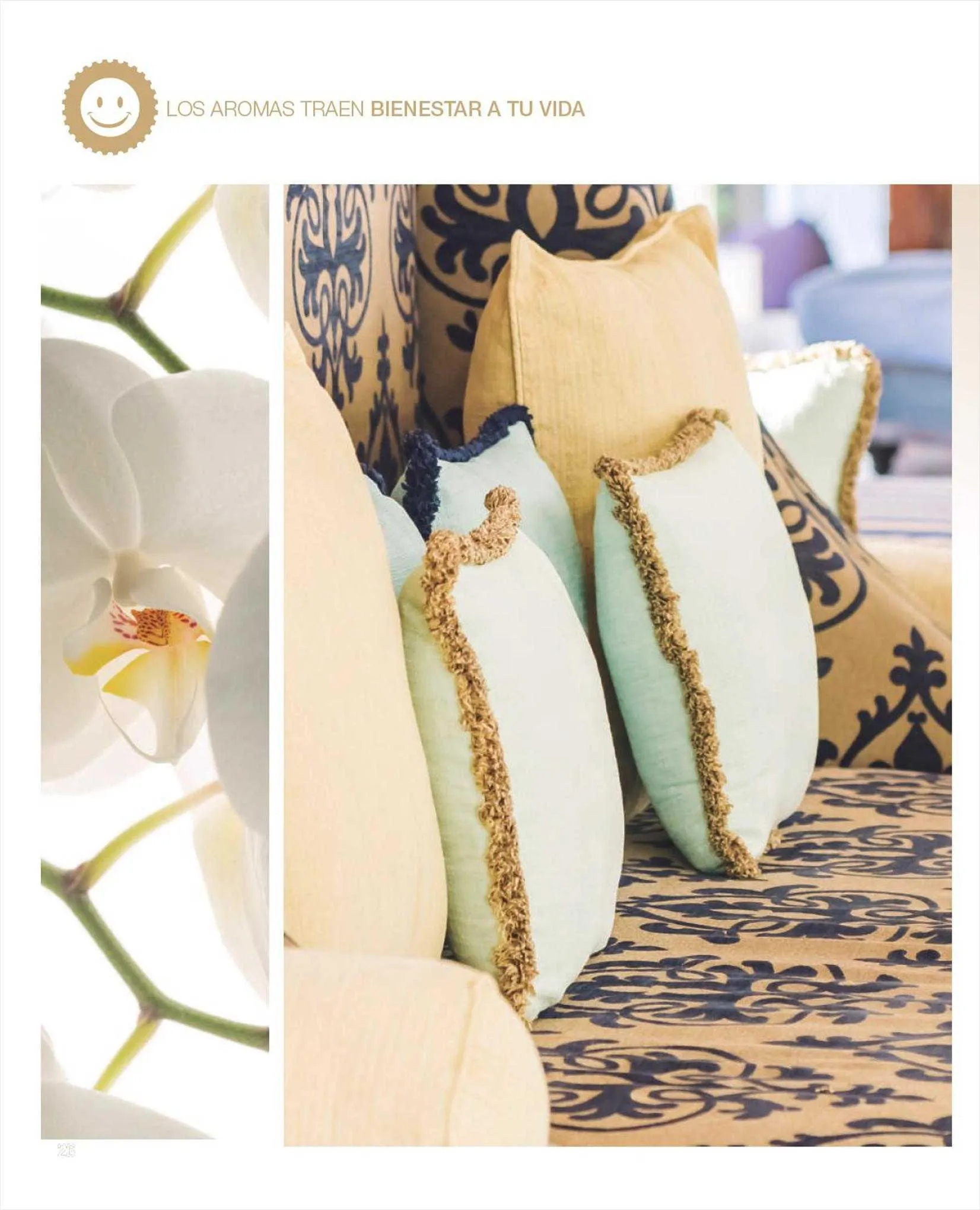 Ofertas de Catálogo Biogreen 17 de agosto al 31 de agosto 2023 - Página 20 del catálogo