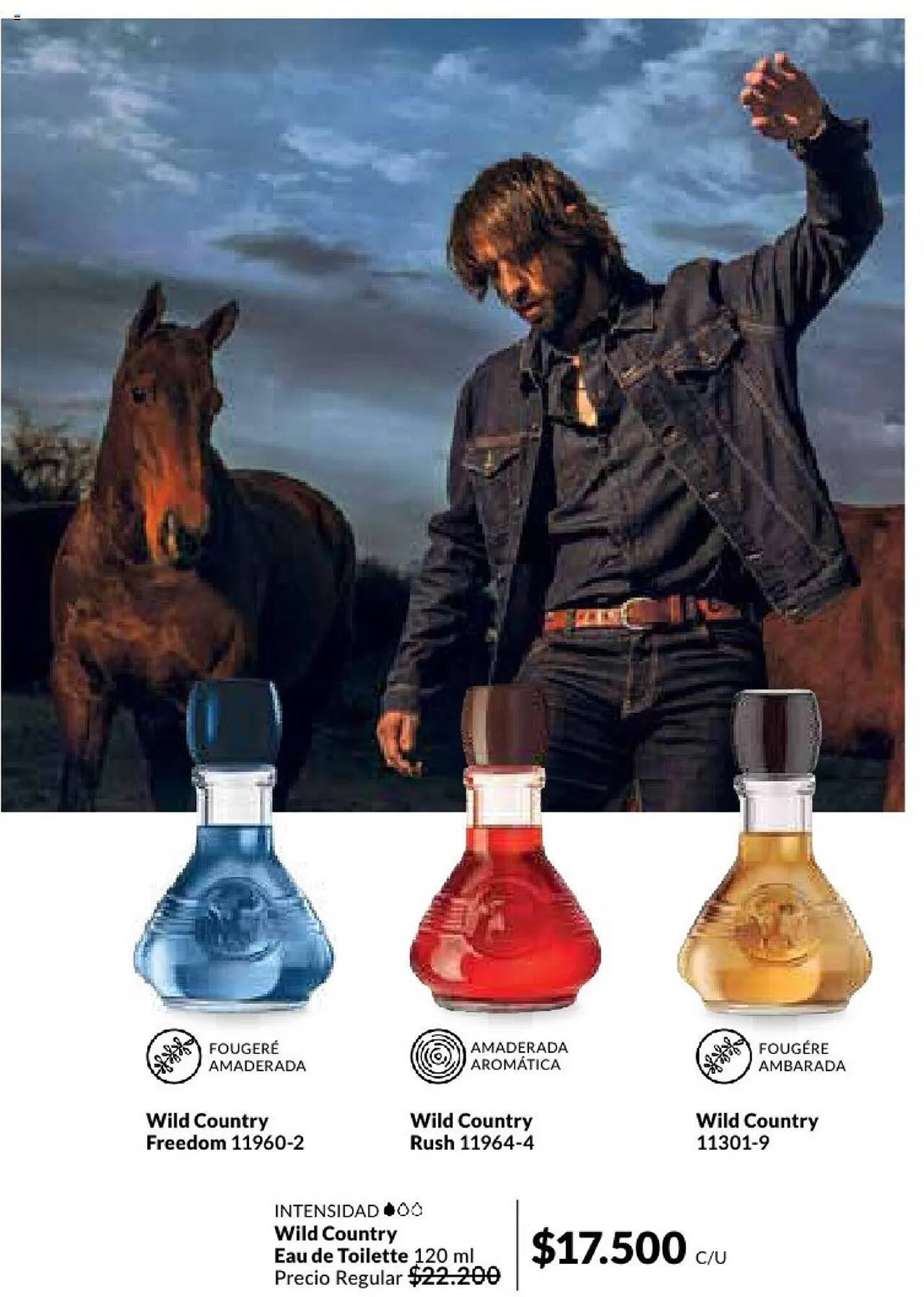 Ofertas de Catálogo Avon 15 de julio al 31 de octubre 2024 - Página 74 del catálogo