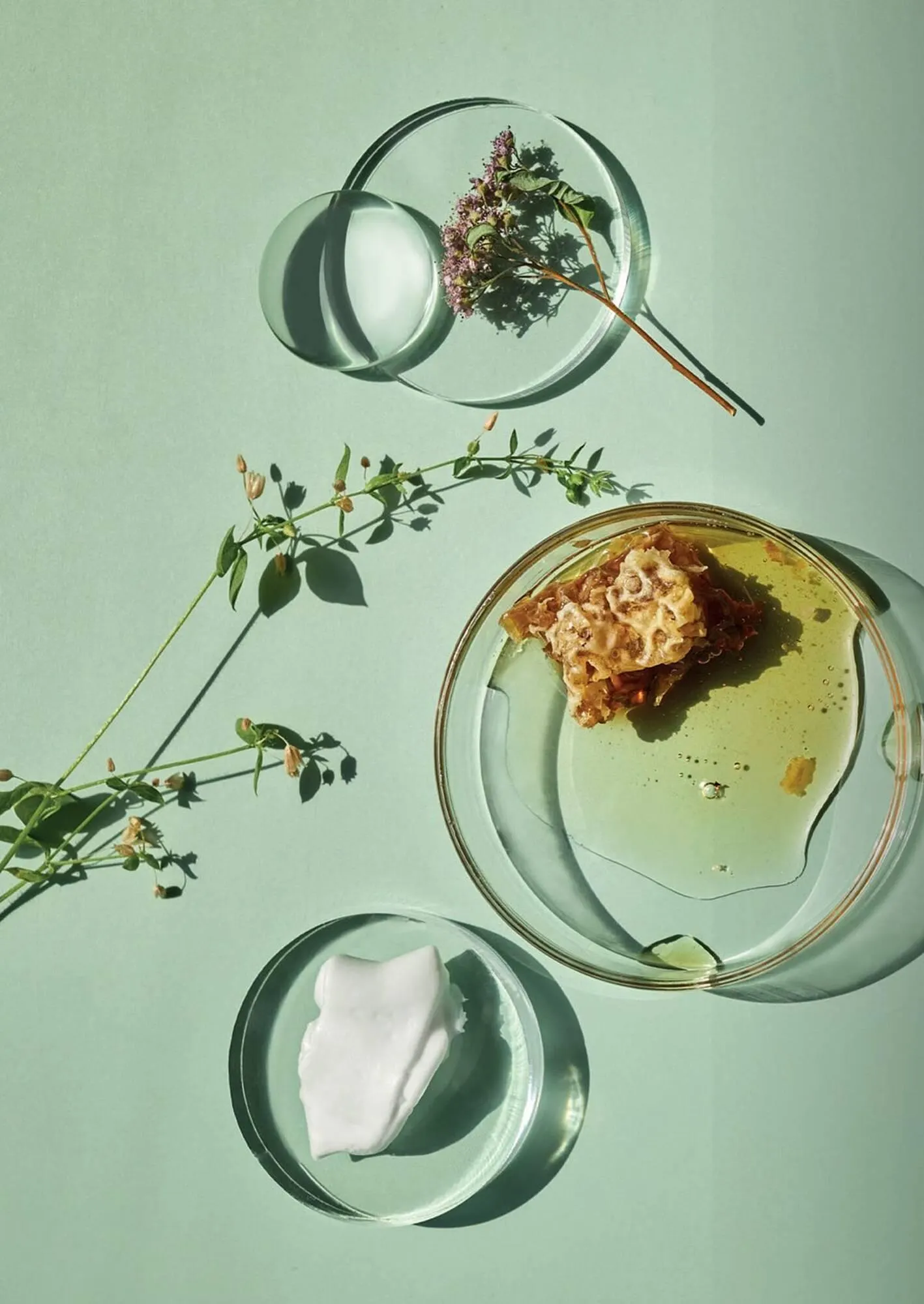 Ofertas de Catálogo Reino Cosmética 9 de abril al 22 de abril 2025 - Página 228 del catálogo