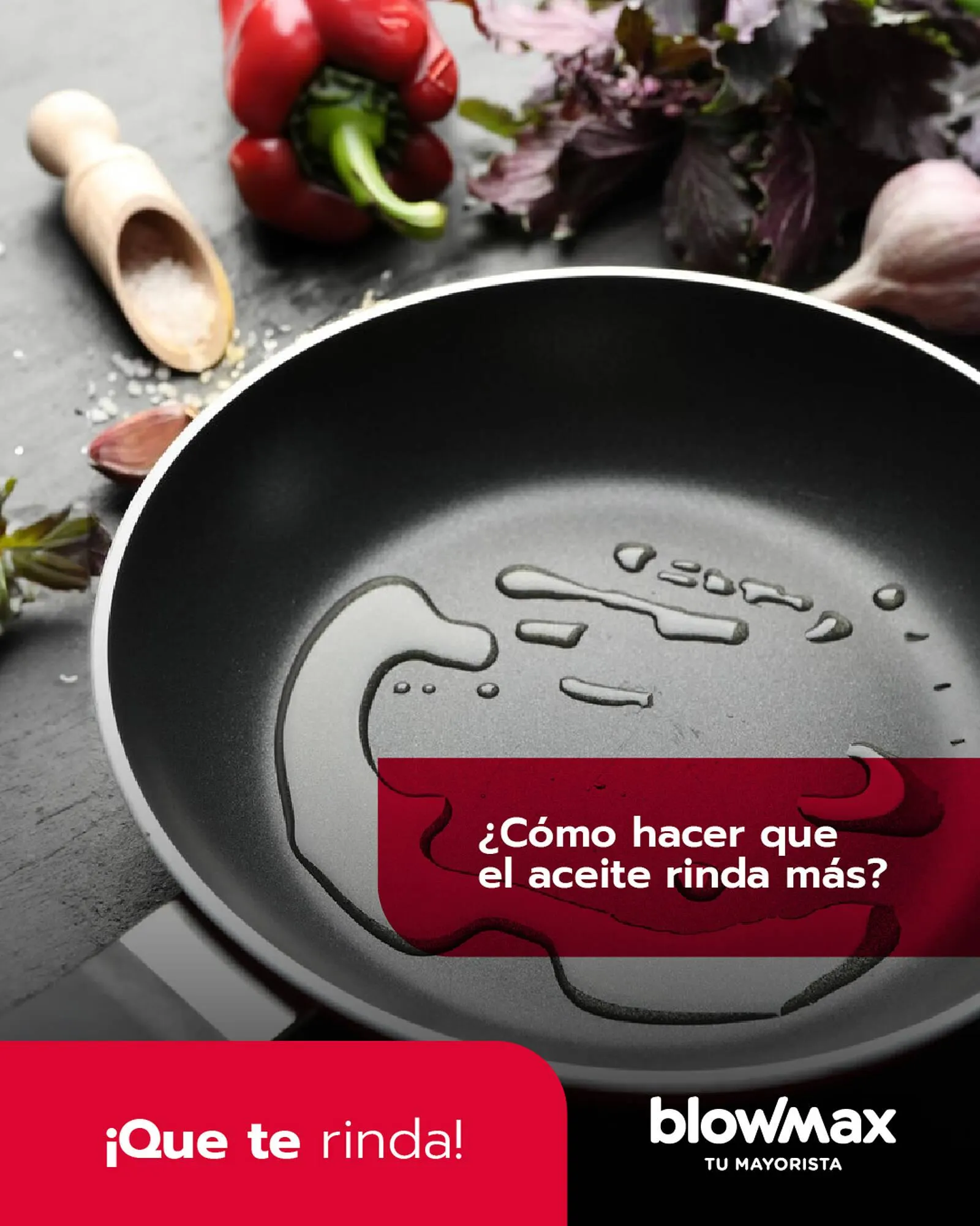 Catálogo Blow Max - 1