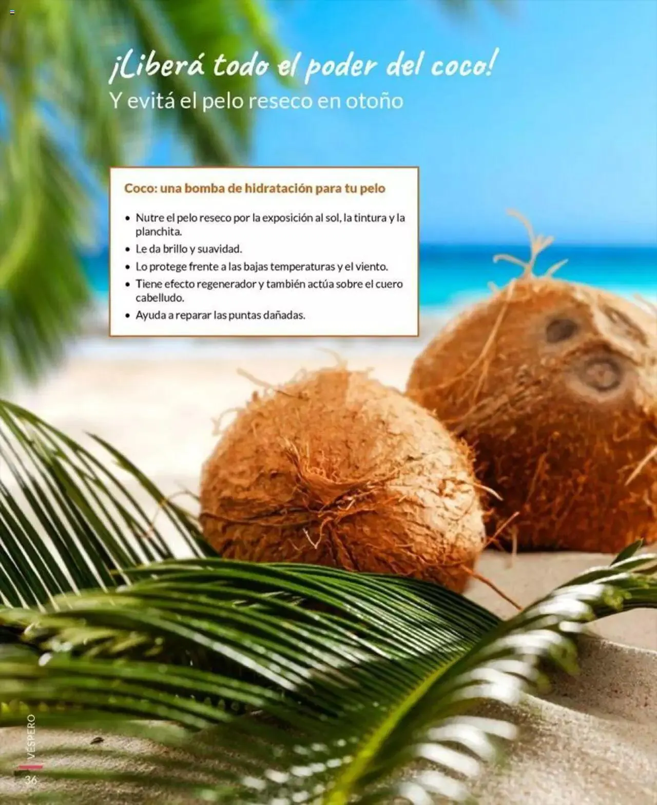 Ofertas de Bagués catálogo 17 de marzo al 31 de diciembre 2023 - Página 36 del catálogo