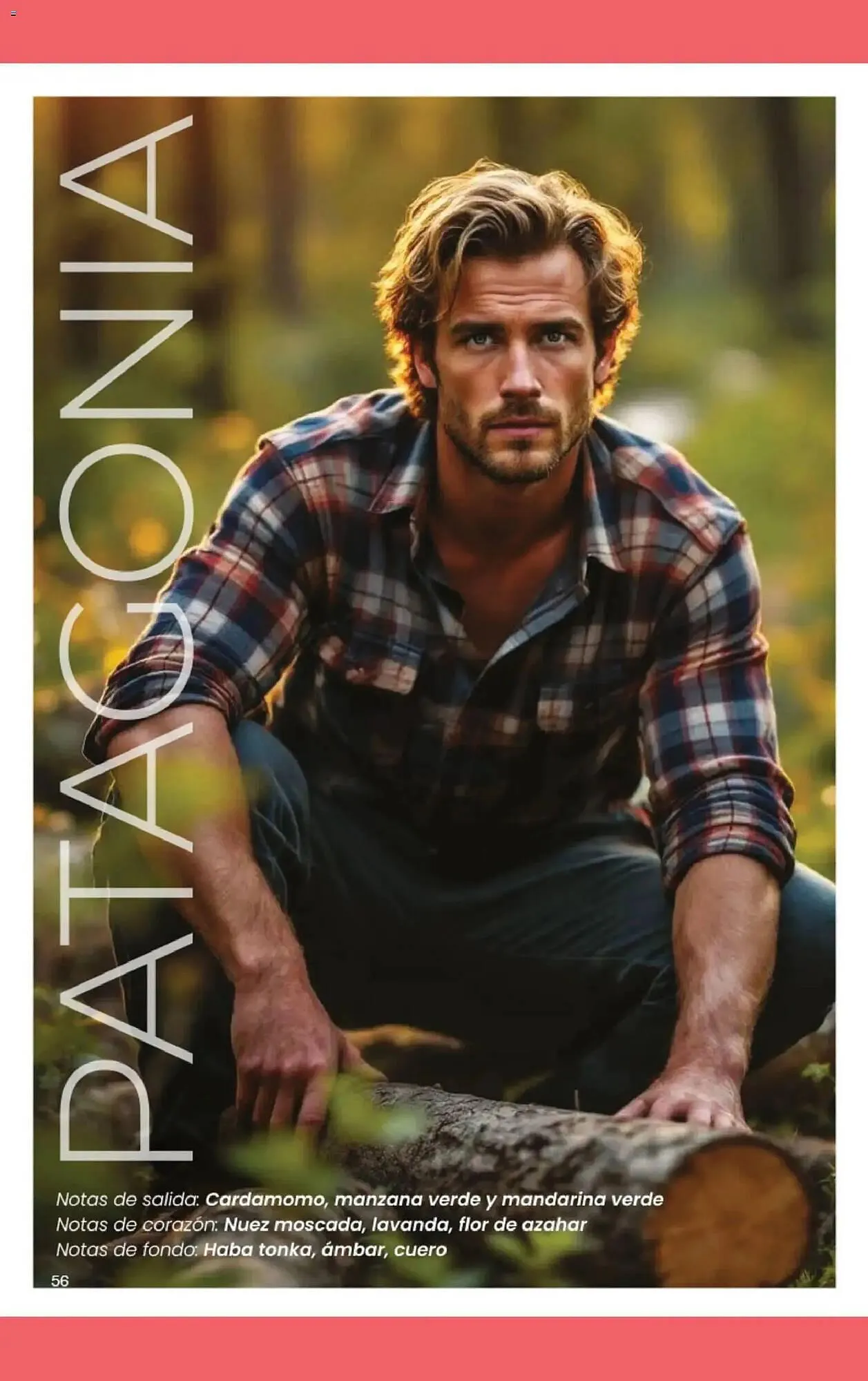 Ofertas de Folleto Gigot 1 de marzo al 31 de marzo 2026 - Página 72 del catálogo