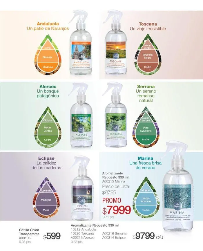 Ofertas de Catálogo de productos Biogreen! 27 de agosto al 11 de septiembre 2024 - Página 23 del catálogo