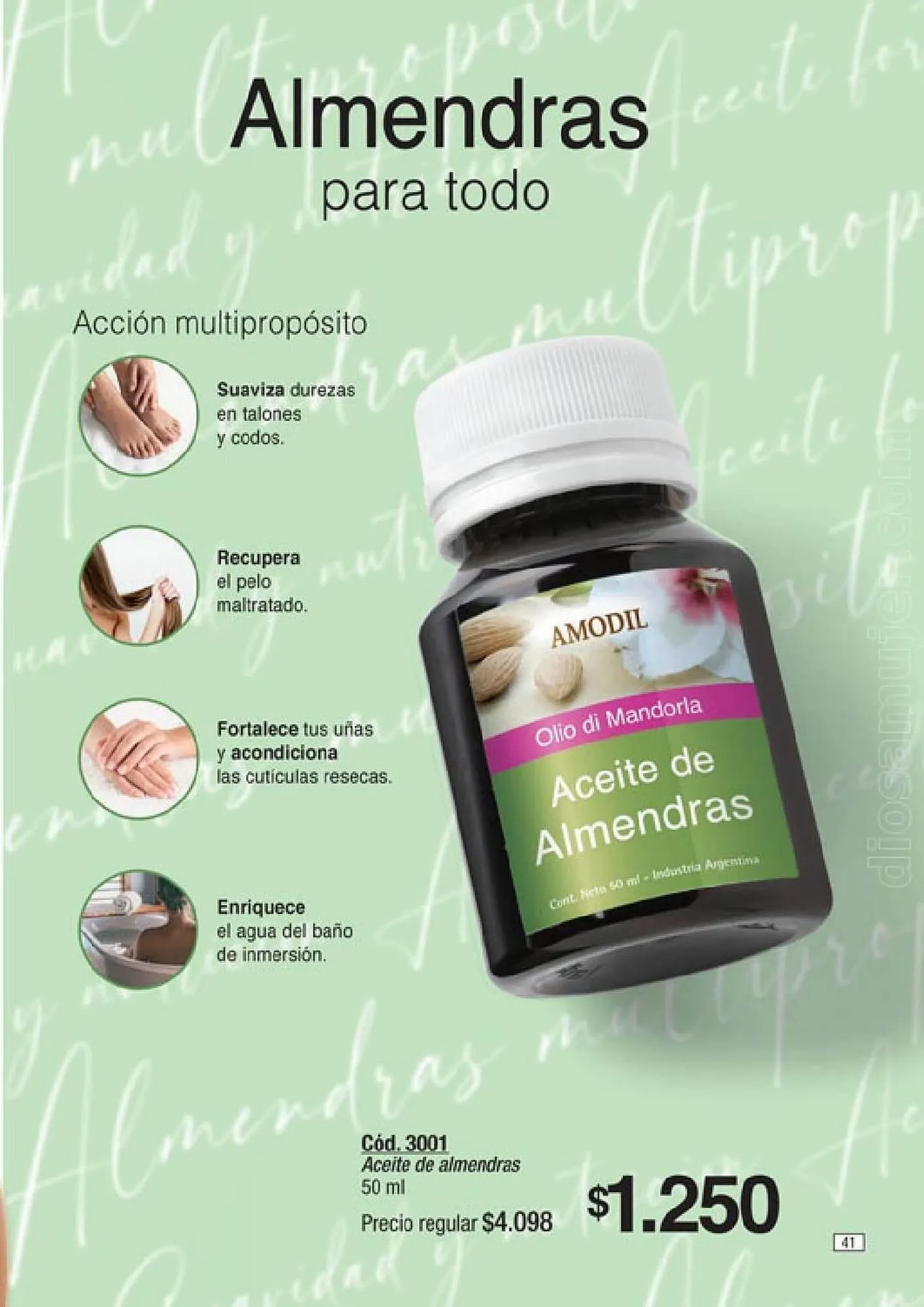 Ofertas de Catálogo Amodil 10 de agosto al 4 de septiembre 2023 - Página 41 del catálogo