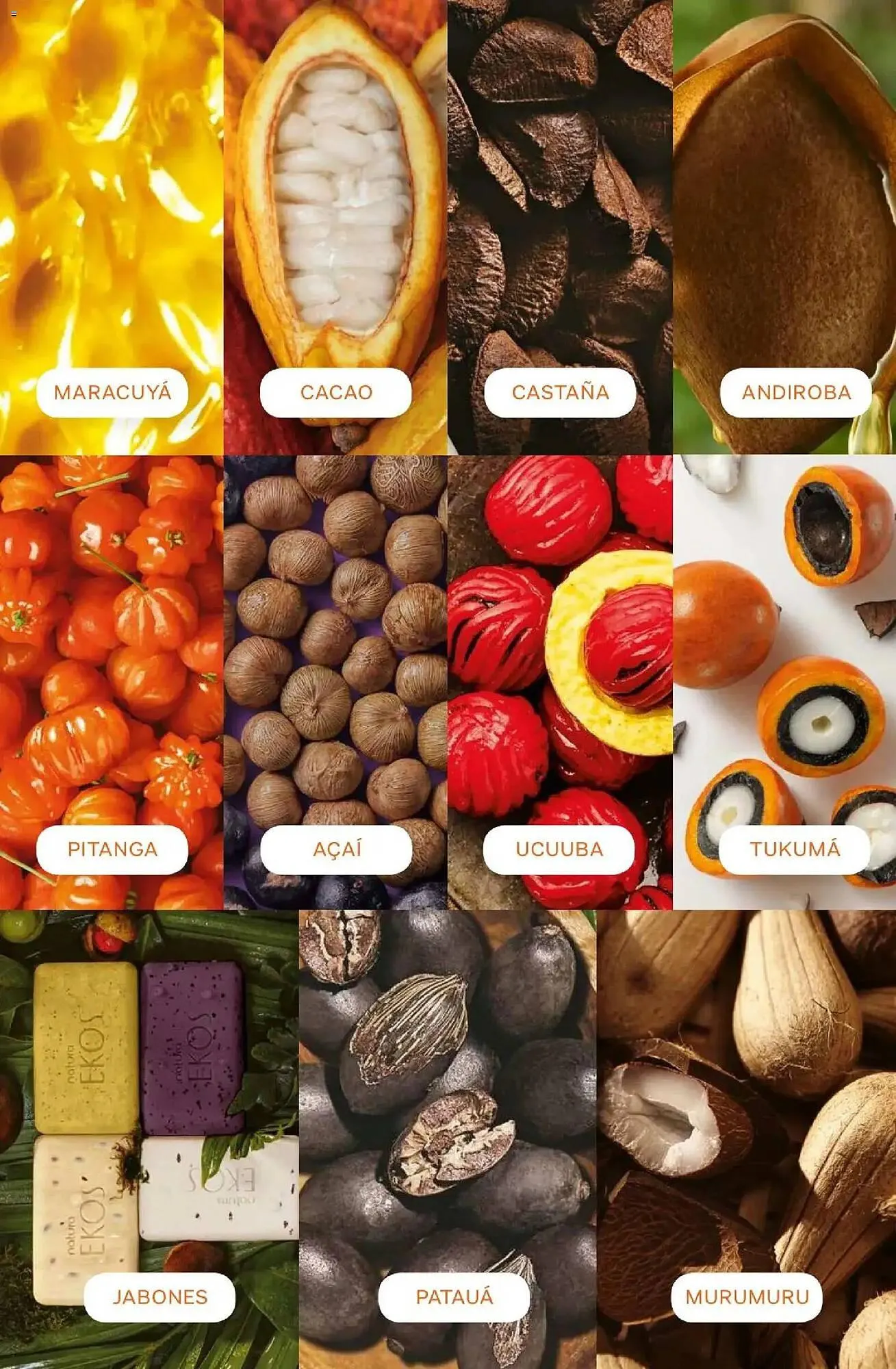 Ofertas de Catálogo Natura 1 de abril al 1 de mayo 2026 - Página 206 del catálogo