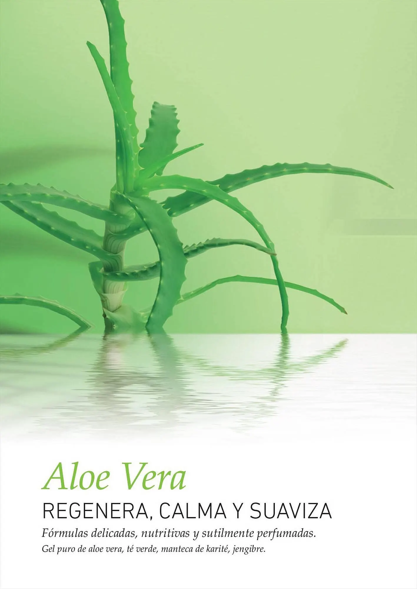 Ofertas de Catálogo Reino Cosmética 28 de julio al 31 de julio 2023 - Página 100 del catálogo