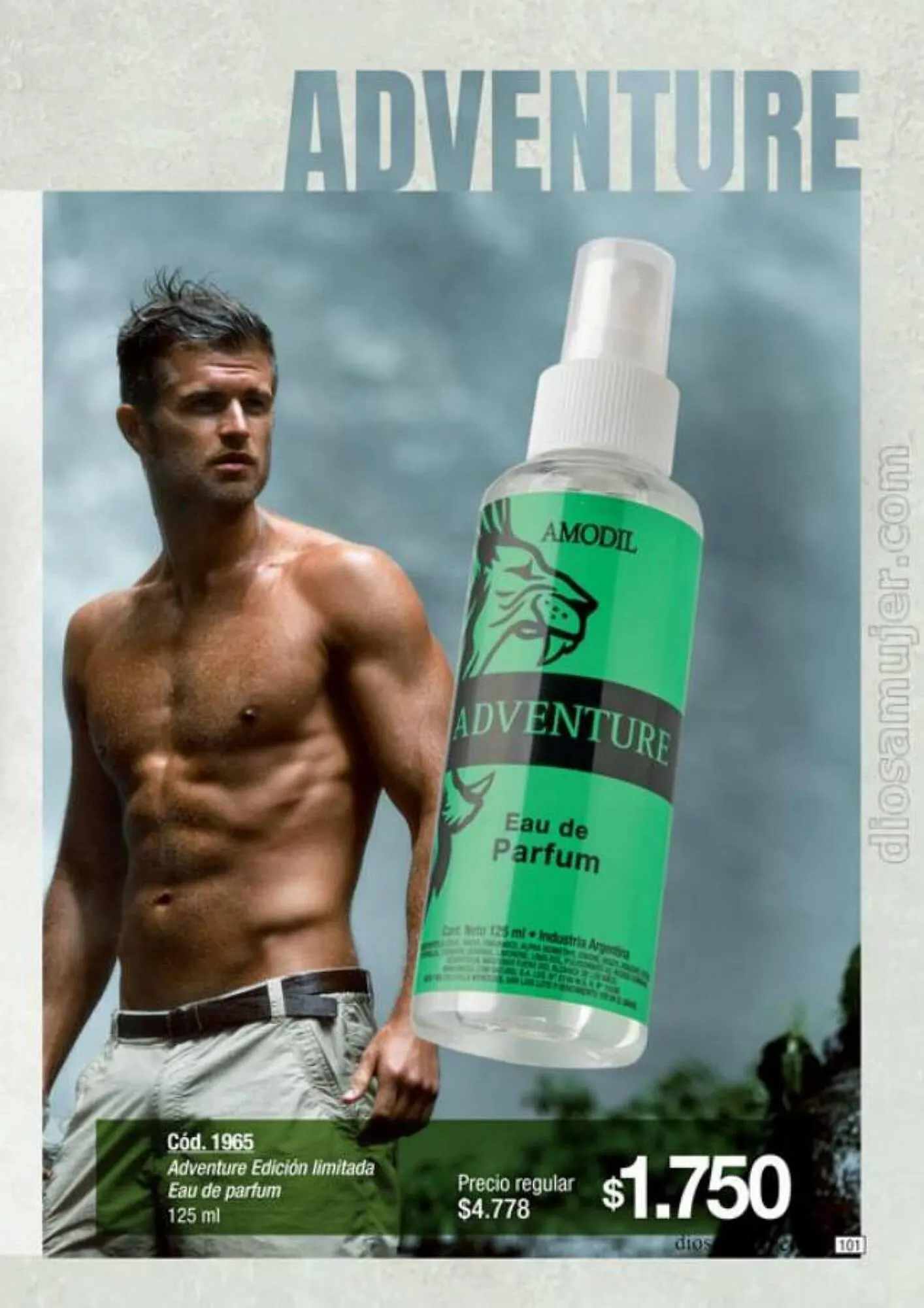 Ofertas de Catálogo Amodil 6 de septiembre al 10 de octubre 2023 - Página 101 del catálogo