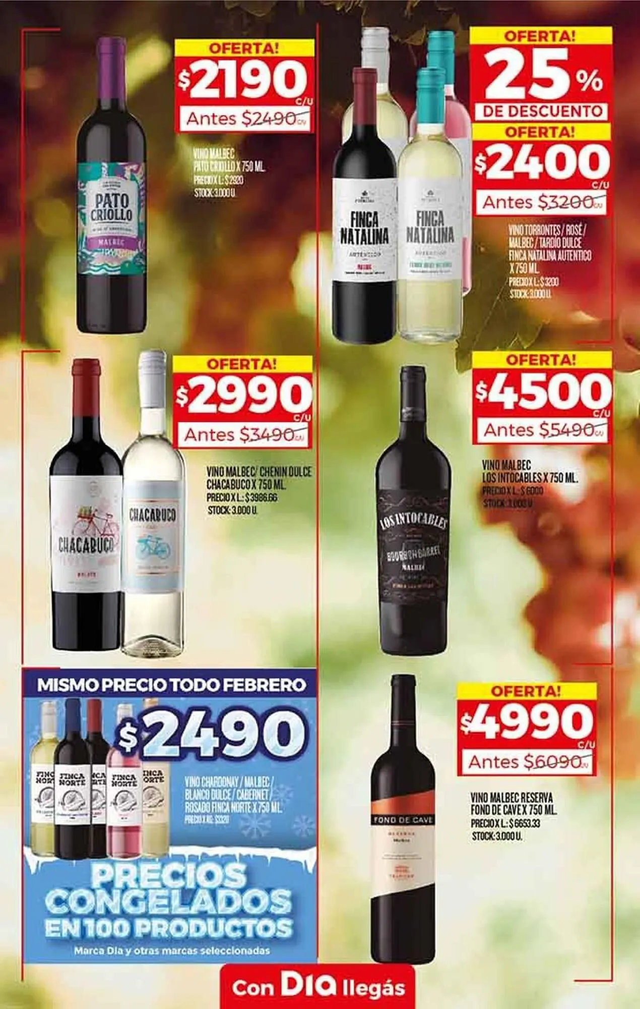 Ofertas de Catálogo Supermercados DIA 1 de febrero al 7 de febrero 2024 - Página 18 del catálogo