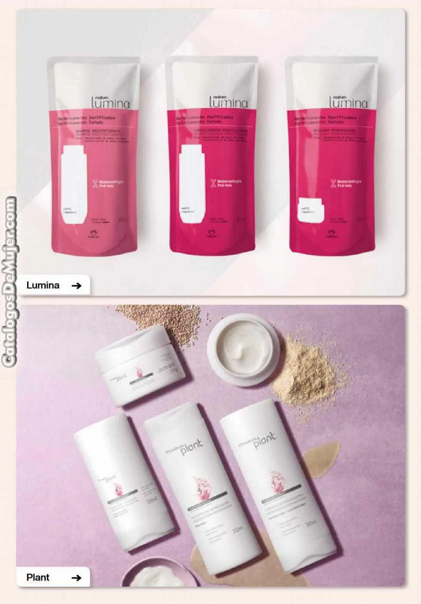 Ofertas de Catálogo Natura 3 de agosto al 30 de septiembre 2023 - Página 126 del catálogo