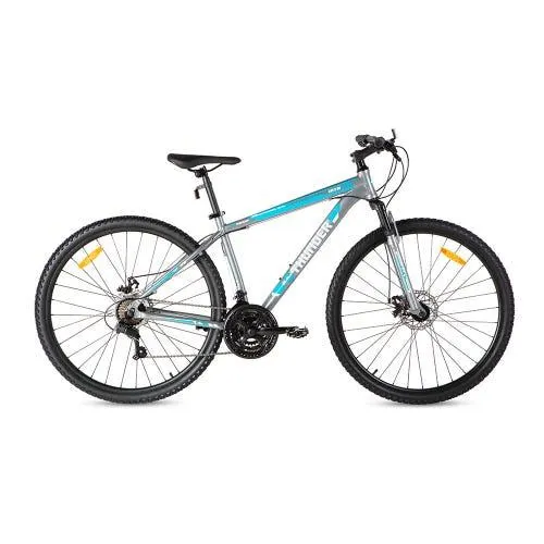 Bicicleta MTB R29" v21 gris Thunder