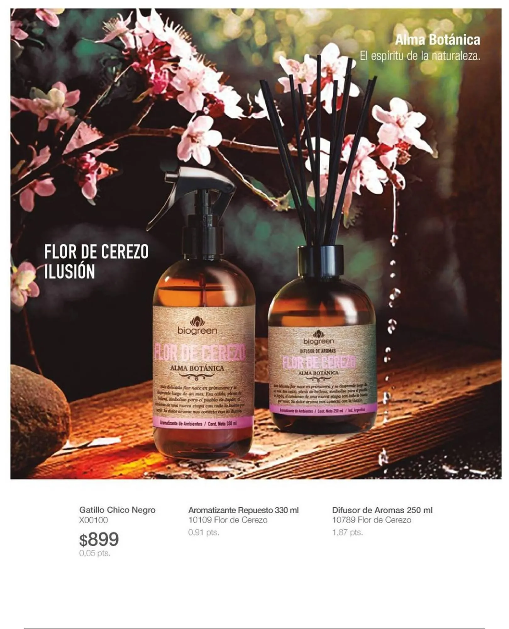 Ofertas de Catálogo Biogreen 16 de febrero al 1 de marzo 2026 - Página 37 del catálogo