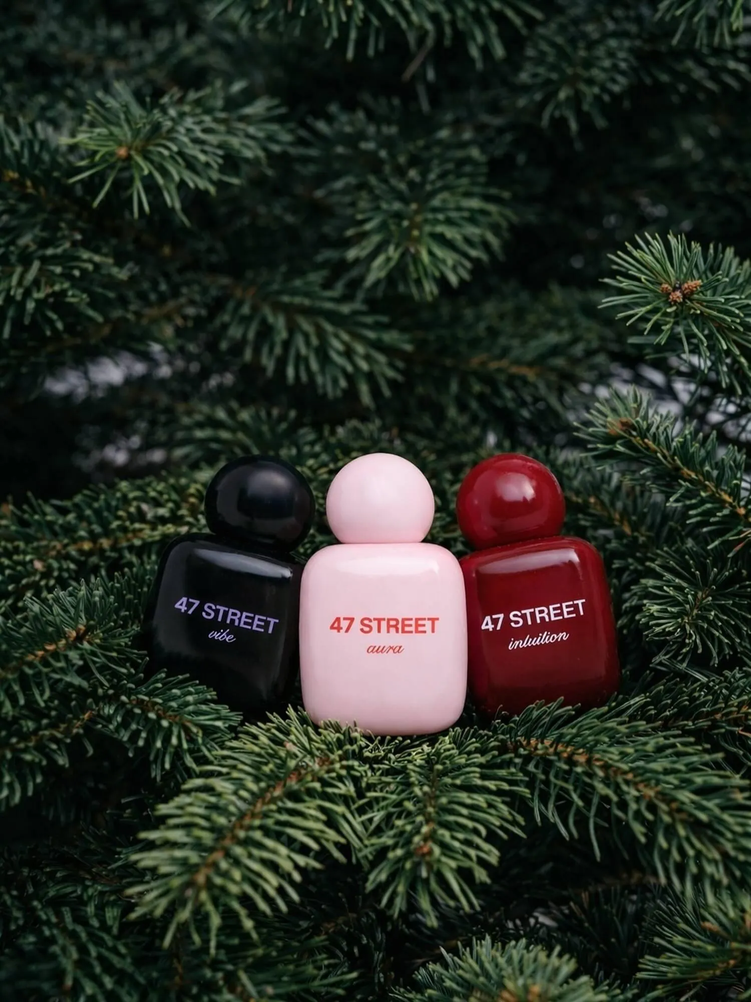 Ofertas de Catálogo 47 Street 19 de diciembre al 25 de diciembre 2025 - Página 1 del catálogo