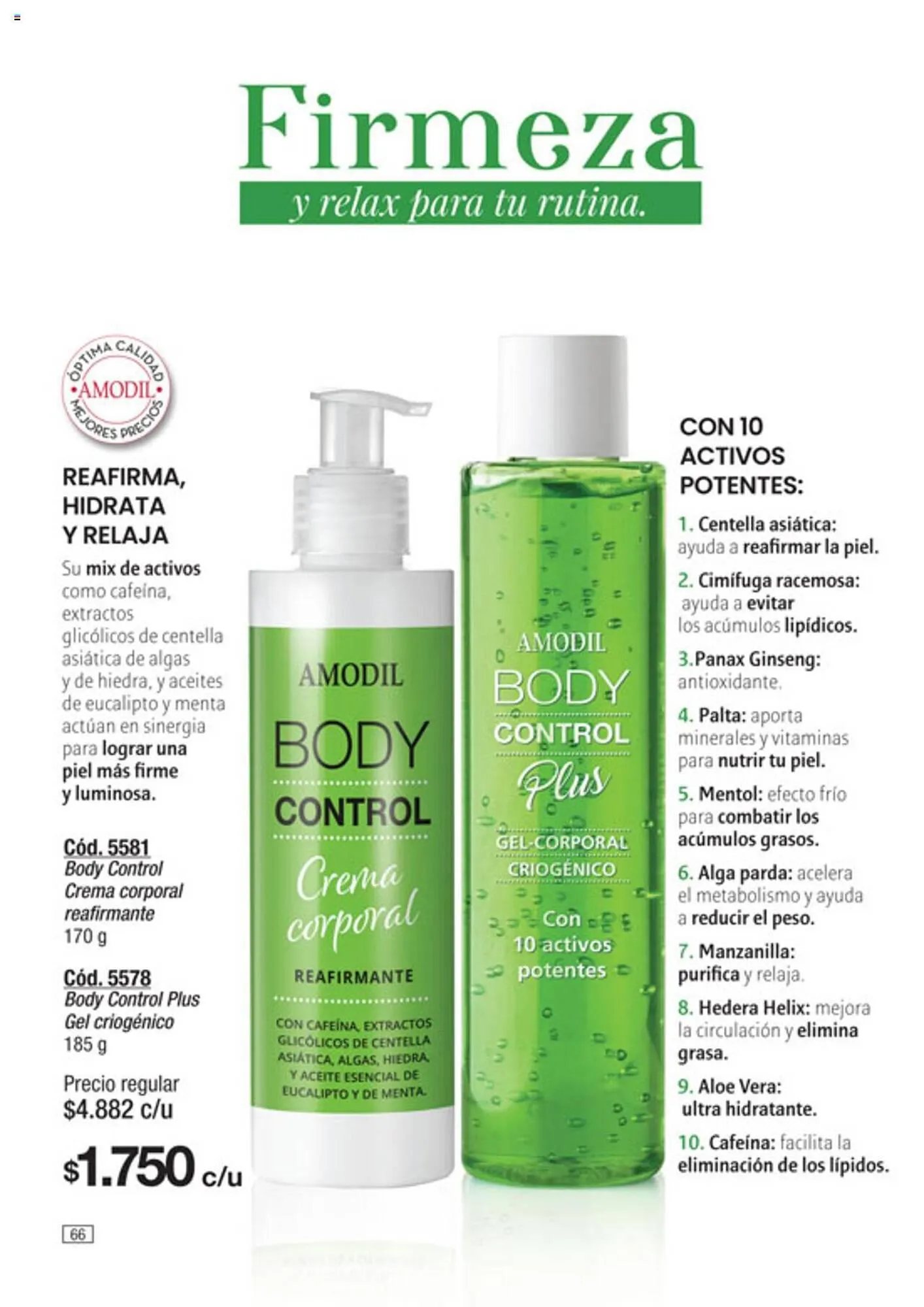 Ofertas de Catálogo Amodil 20 de septiembre al 3 de octubre 2023 - Página 66 del catálogo