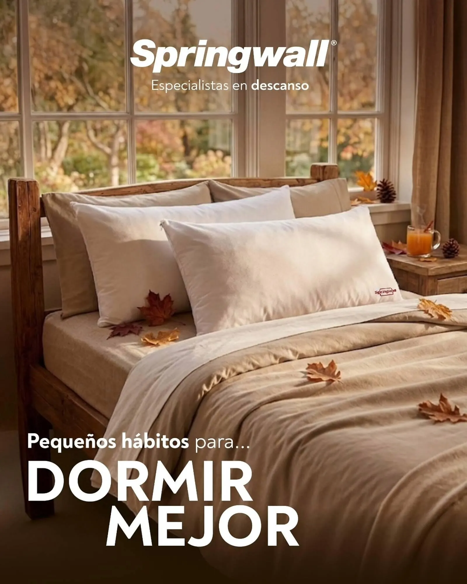 Ofertas de Catálogo Springwall 8 de abril al 20 de abril 2026 - Página 1 del catálogo