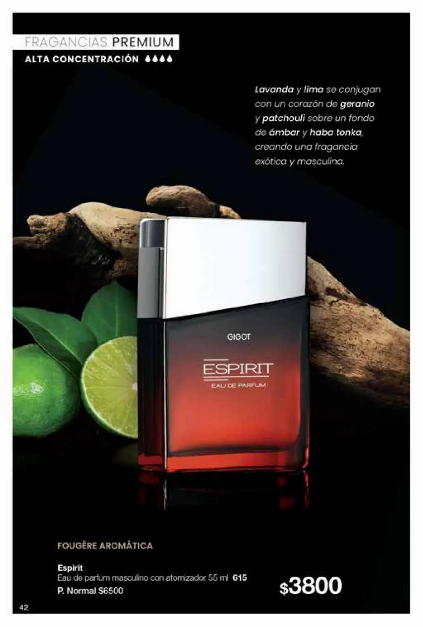 Ofertas de Catálogo Gigot 8 de junio al 30 de agosto 2023 - Página 42 del catálogo