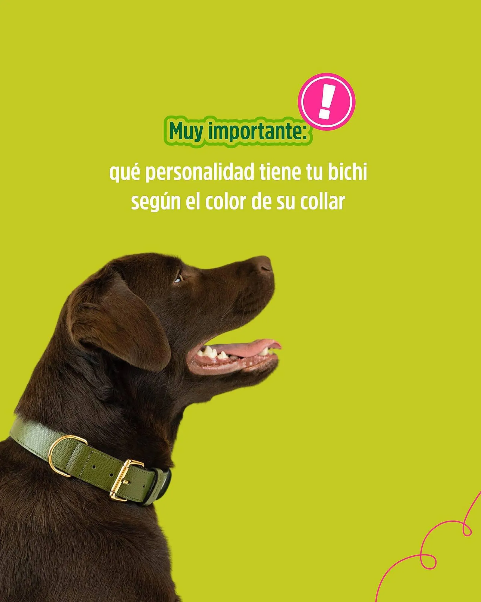 Ofertas de Catálogo Casper Pet Store 3 de abril al 5 de abril 2024 - Página del catálogo