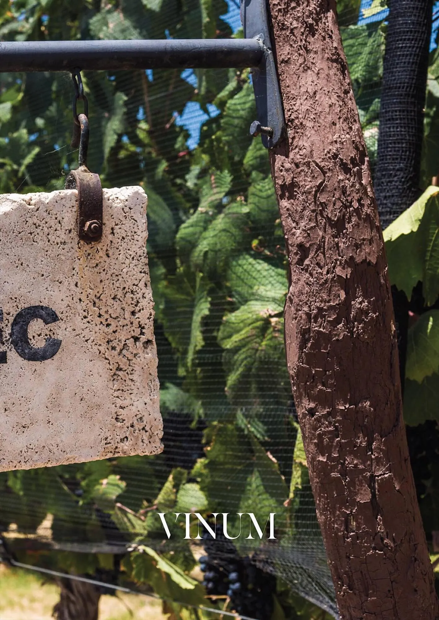 Ofertas de Catálogo Reino Cosmética 28 de julio al 31 de julio 2023 - Página 41 del catálogo